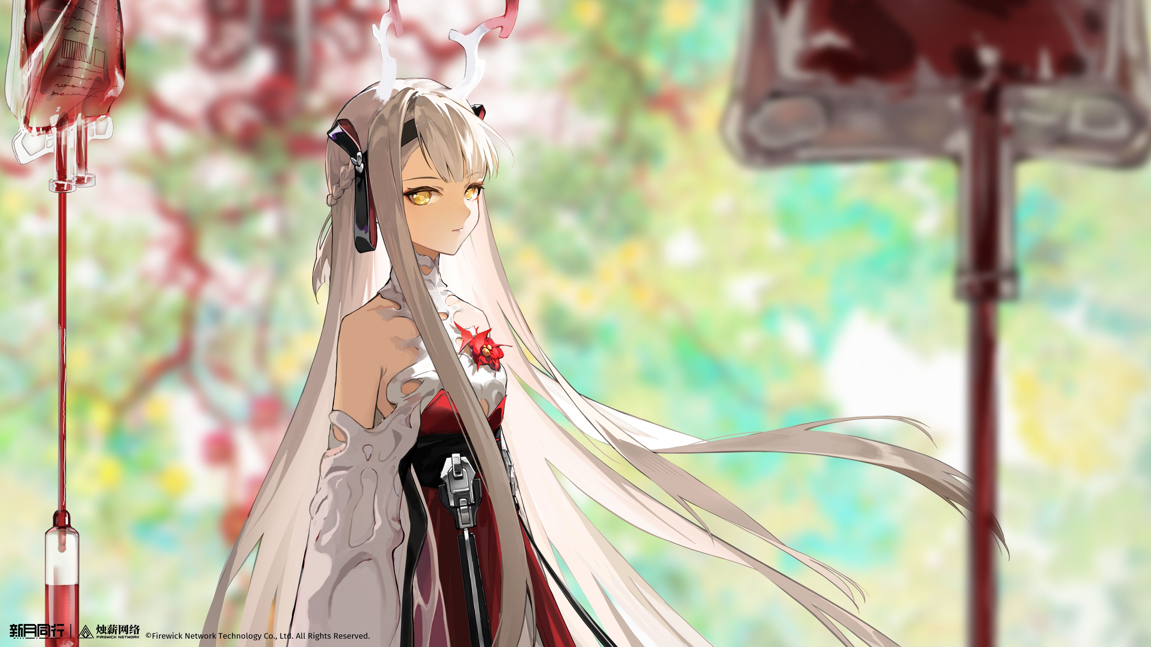 新月同行,画集,壁纸