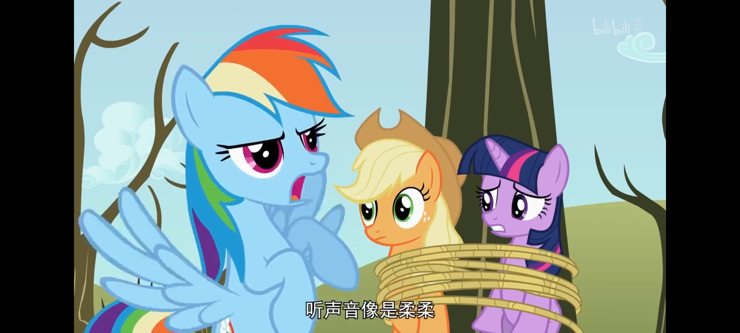 小马宝莉,彩虹小马,我的小马驹,动画,动漫,番剧,二次元,ACG
