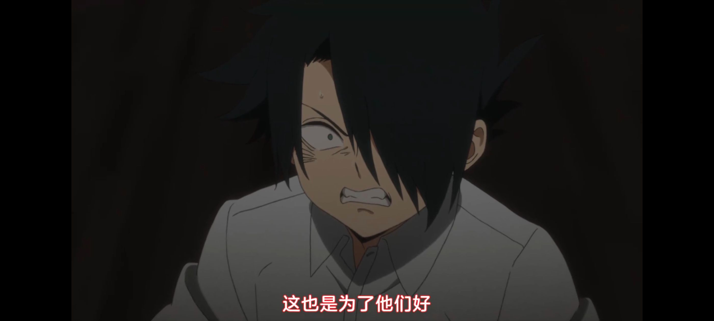 约定的梦幻岛,动画,动漫,番剧,二次元,ACG