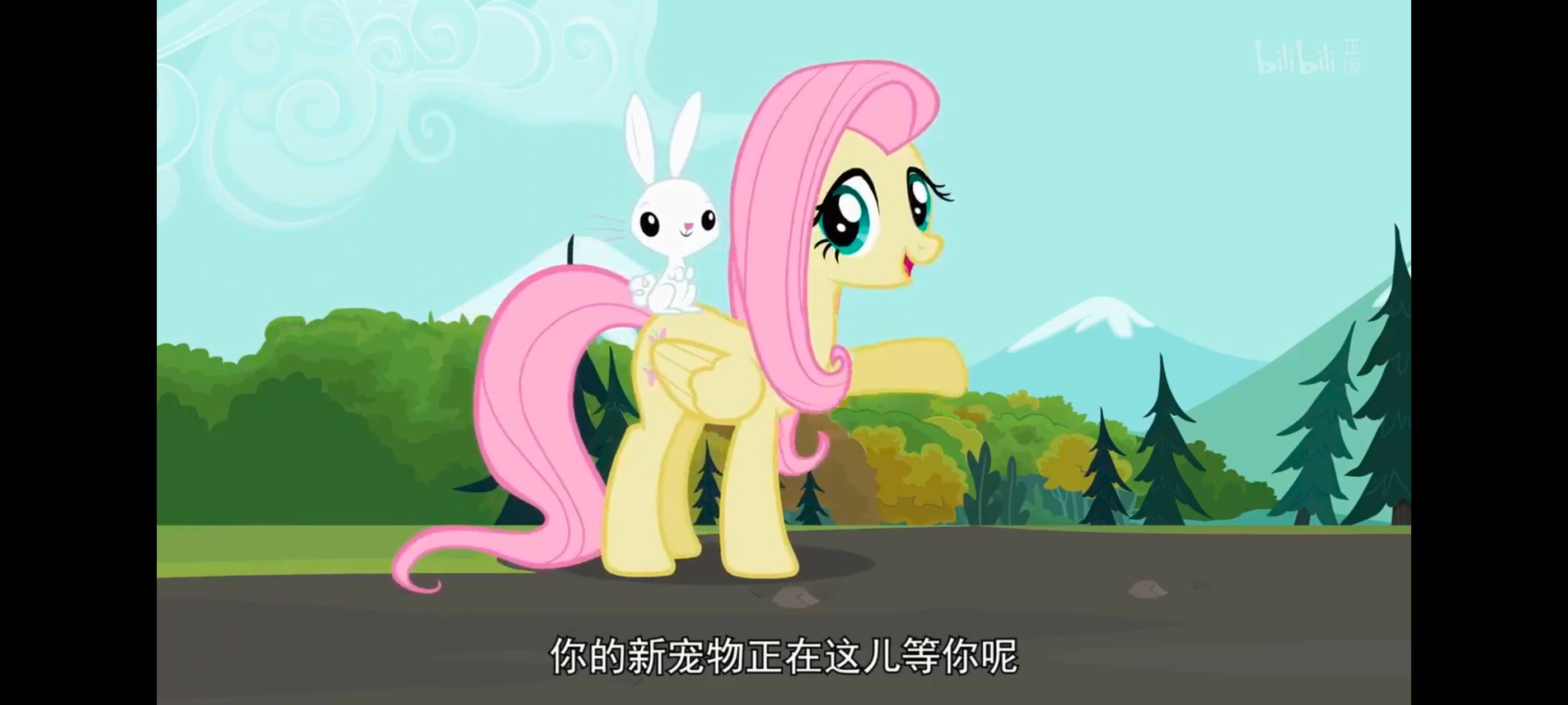 小马宝莉,彩虹小马,我的小马驹,动画,动漫,番剧,二次元,ACG