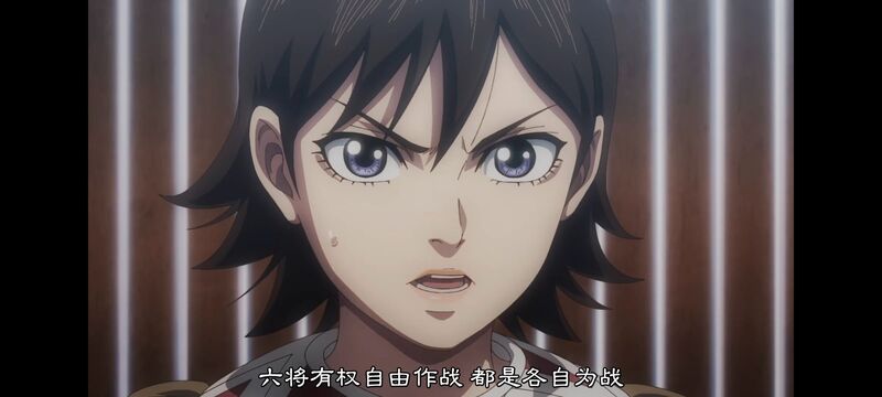 王者天下,动画,动漫,番剧,ACG