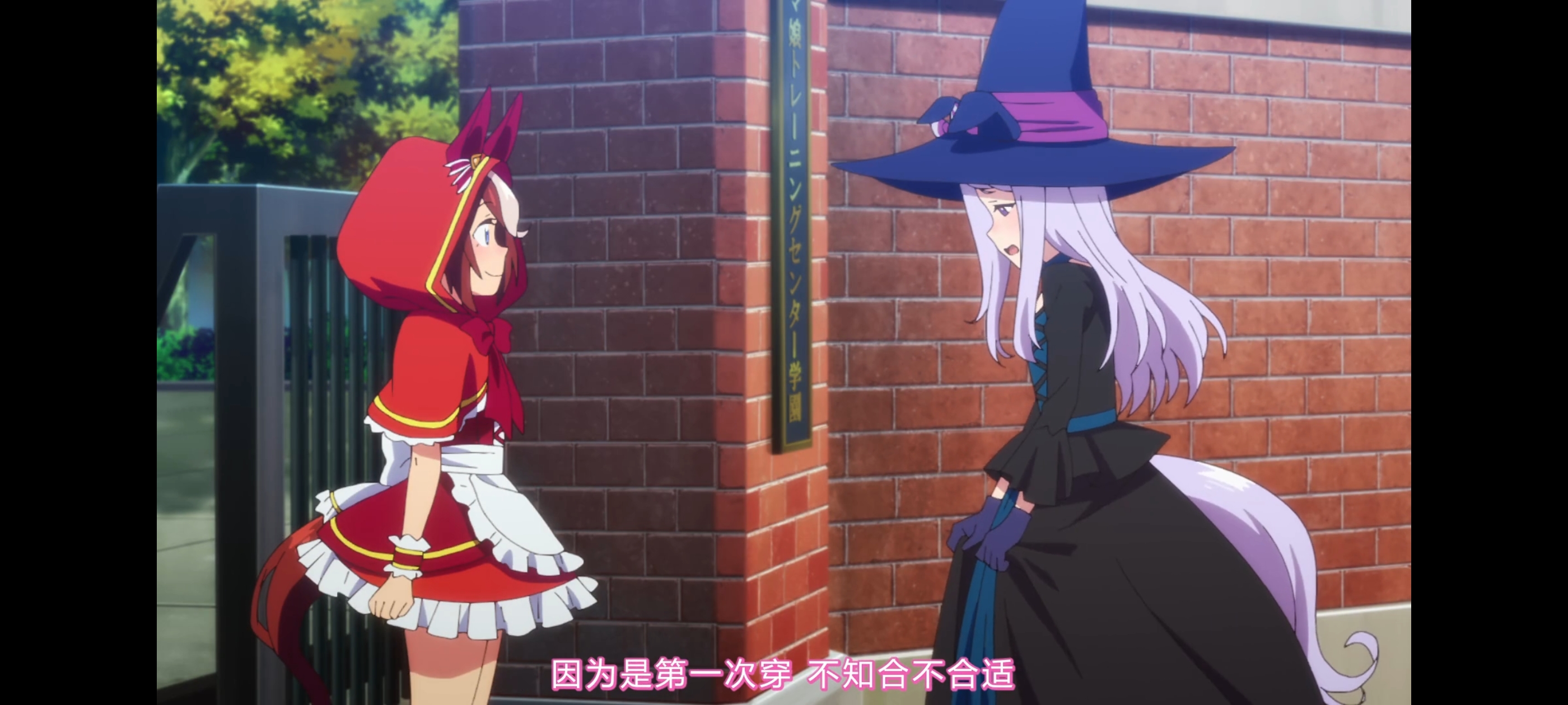 赛马娘,赛马娘第二季,动画,动漫,番剧,二次元,ACG