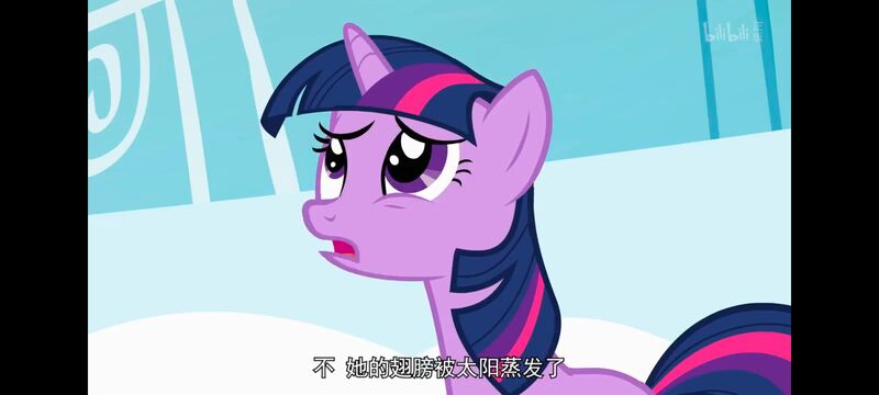 小马宝莉,小马宝莉友谊魔法,彩虹小马,我的小马驹,动画,动漫,番剧,ACG