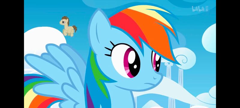 小马宝莉,小马宝莉友谊魔法,彩虹小马,我的小马驹,动画,动漫,番剧,ACG