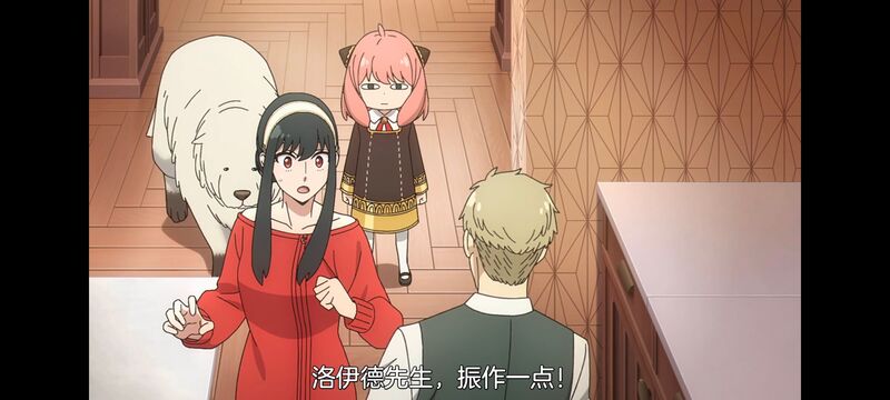 间谍过家家,SPYFAMILY,动漫,动画,番剧,ACG