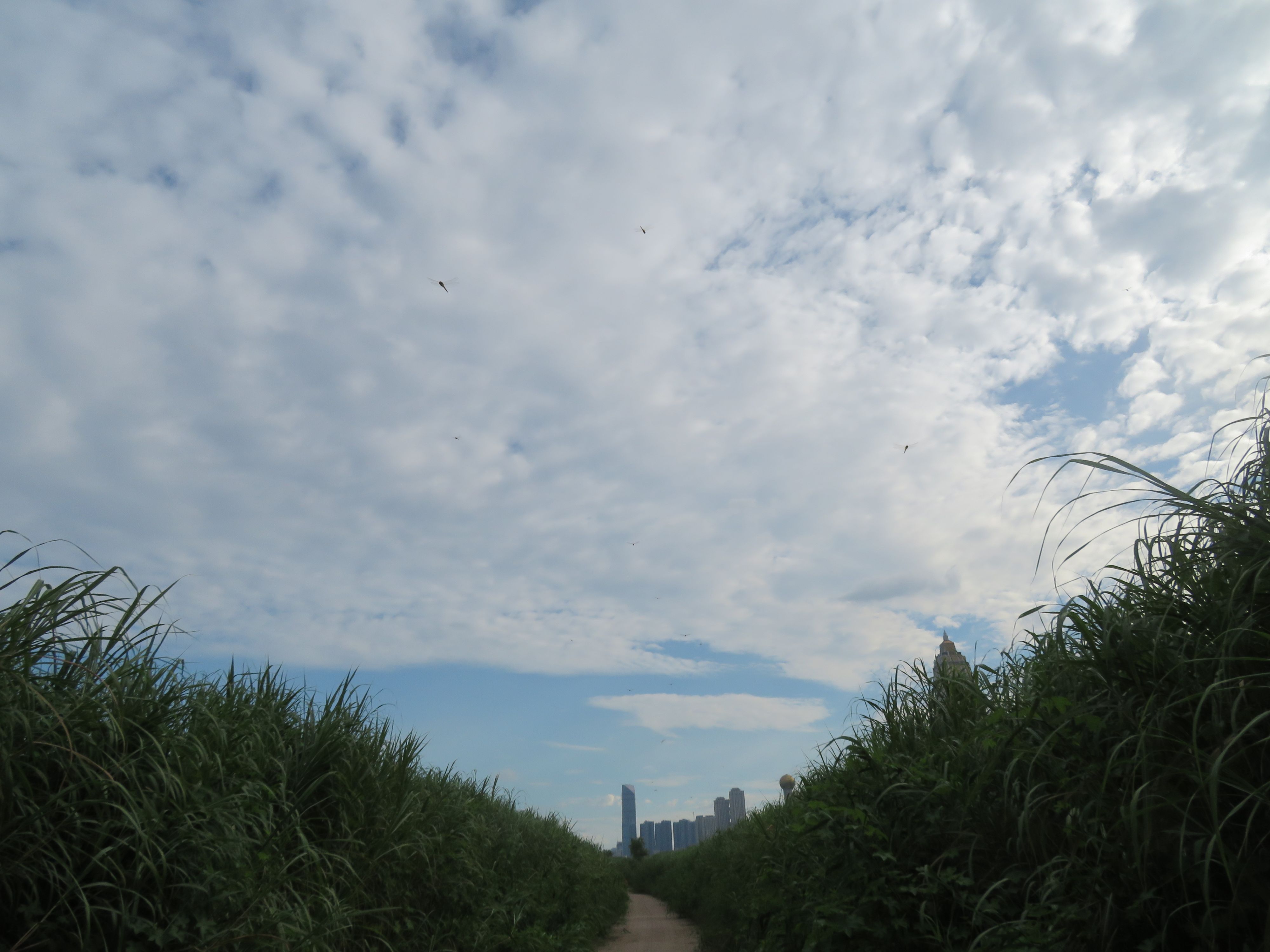 /static/6ae72d580175994d0dc3d82ee2b0a66e3639cf61fd61efaa84053084ff750fed.jpg