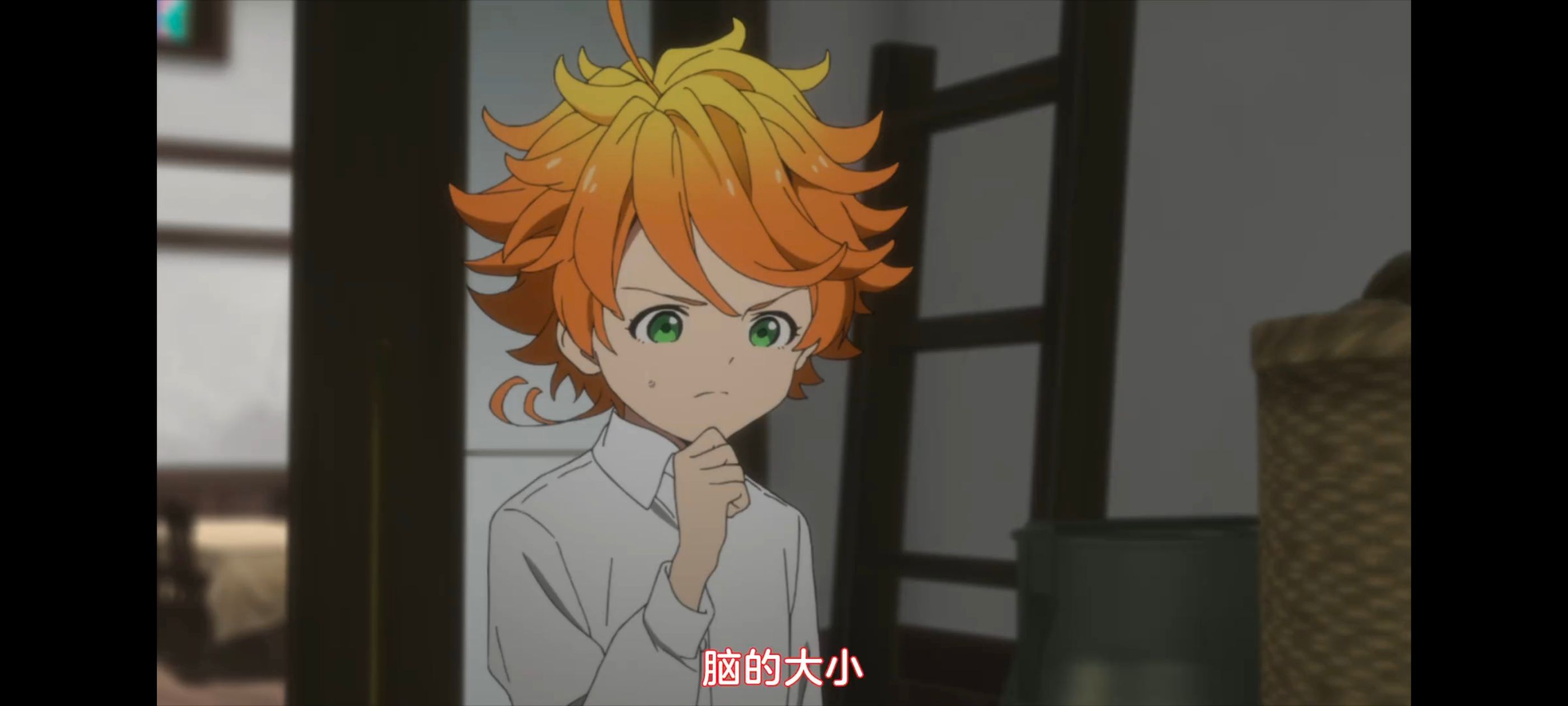 约定的梦幻岛,动画,动漫,番剧,ACG