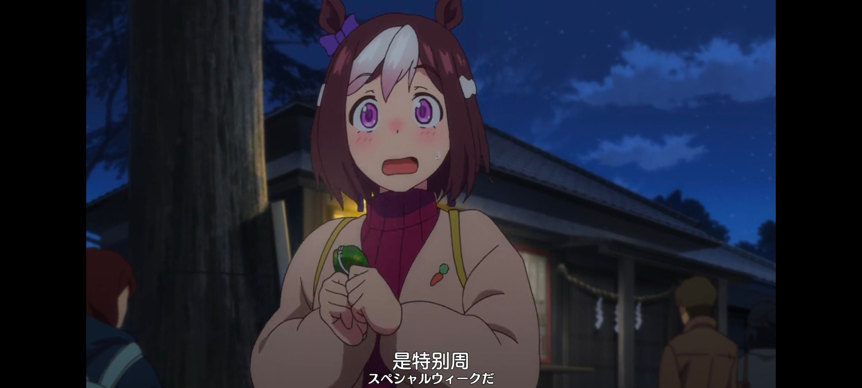 赛马娘,赛马娘PrettyDreby,动画,动漫,番剧,ACG