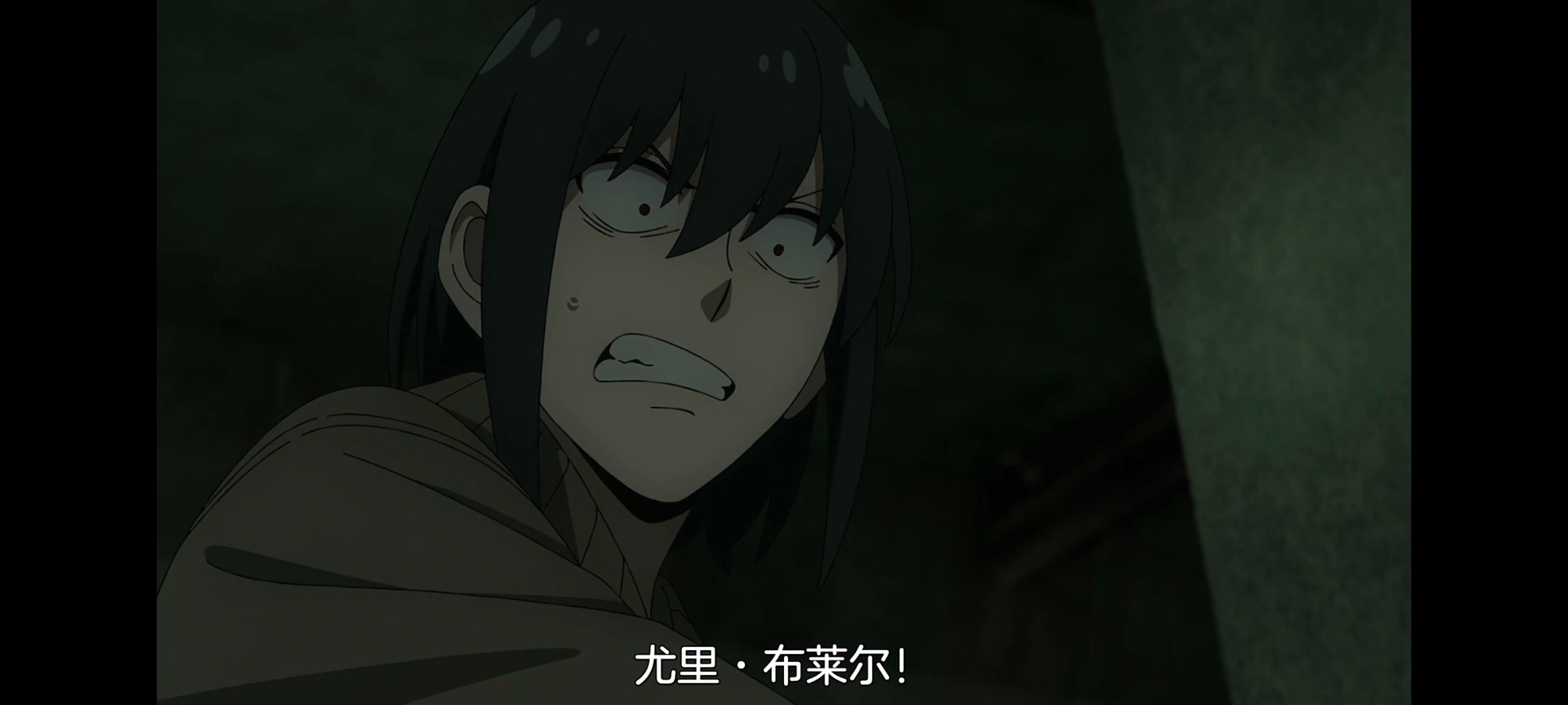 间谍过家家,SPYFAMILY,动画,动漫,番剧,ACG