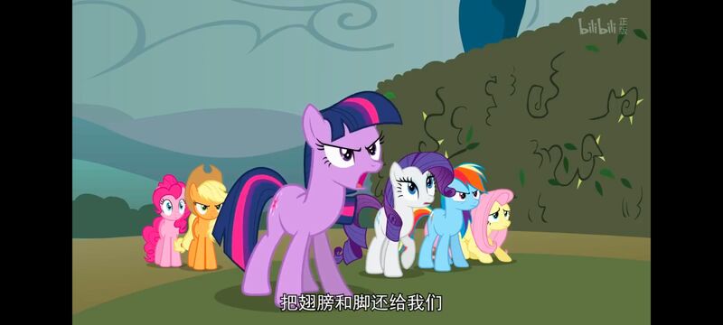 小马宝莉,小马宝莉友谊魔法,彩虹小马,我的小马驹,动画,动漫,番剧,ACG