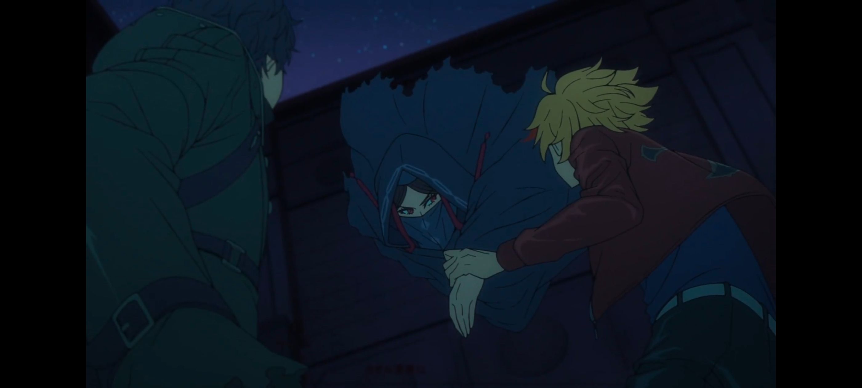 命运奇异赝品,FatestrangeFake,动画,动漫,番剧,ACG