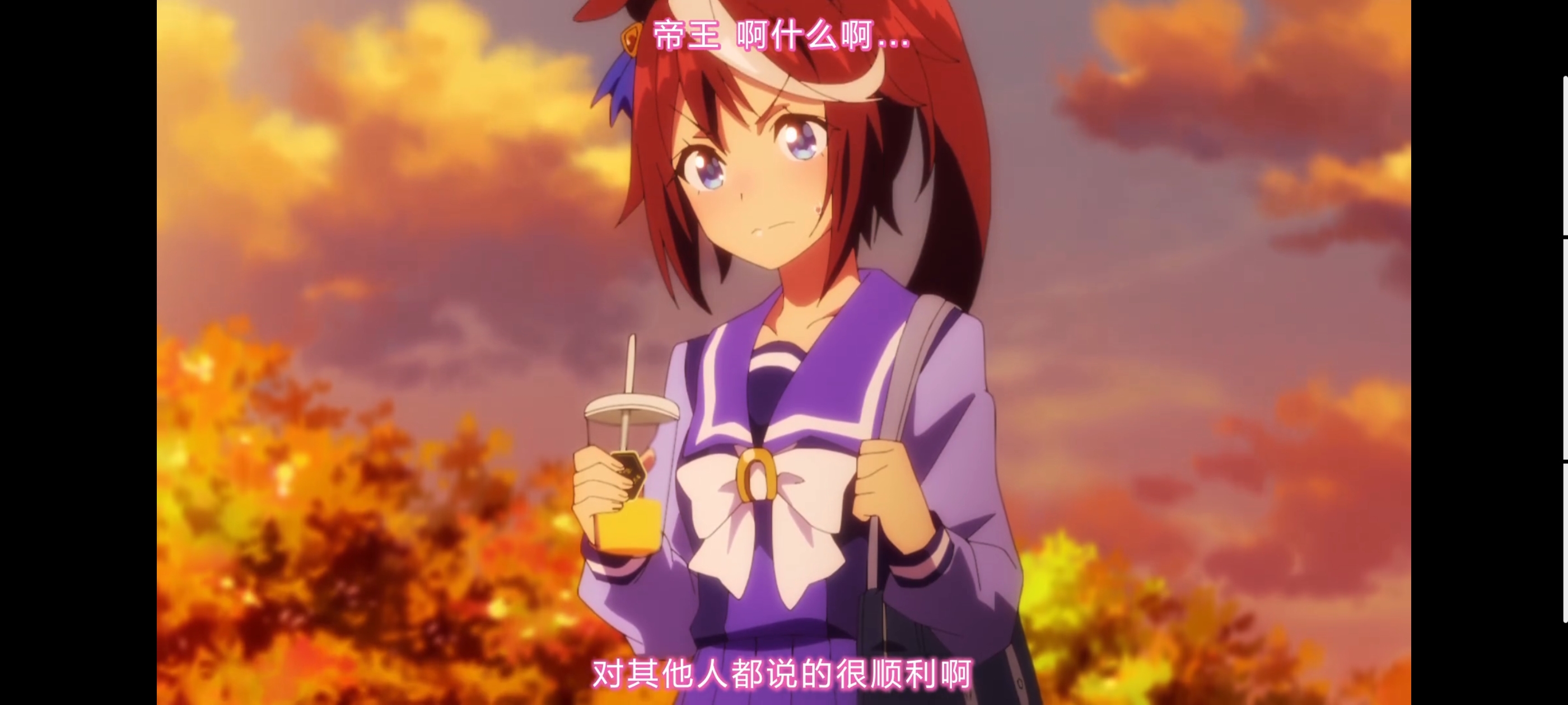 赛马娘,赛马娘第二季,动画,动漫,番剧,二次元,ACG