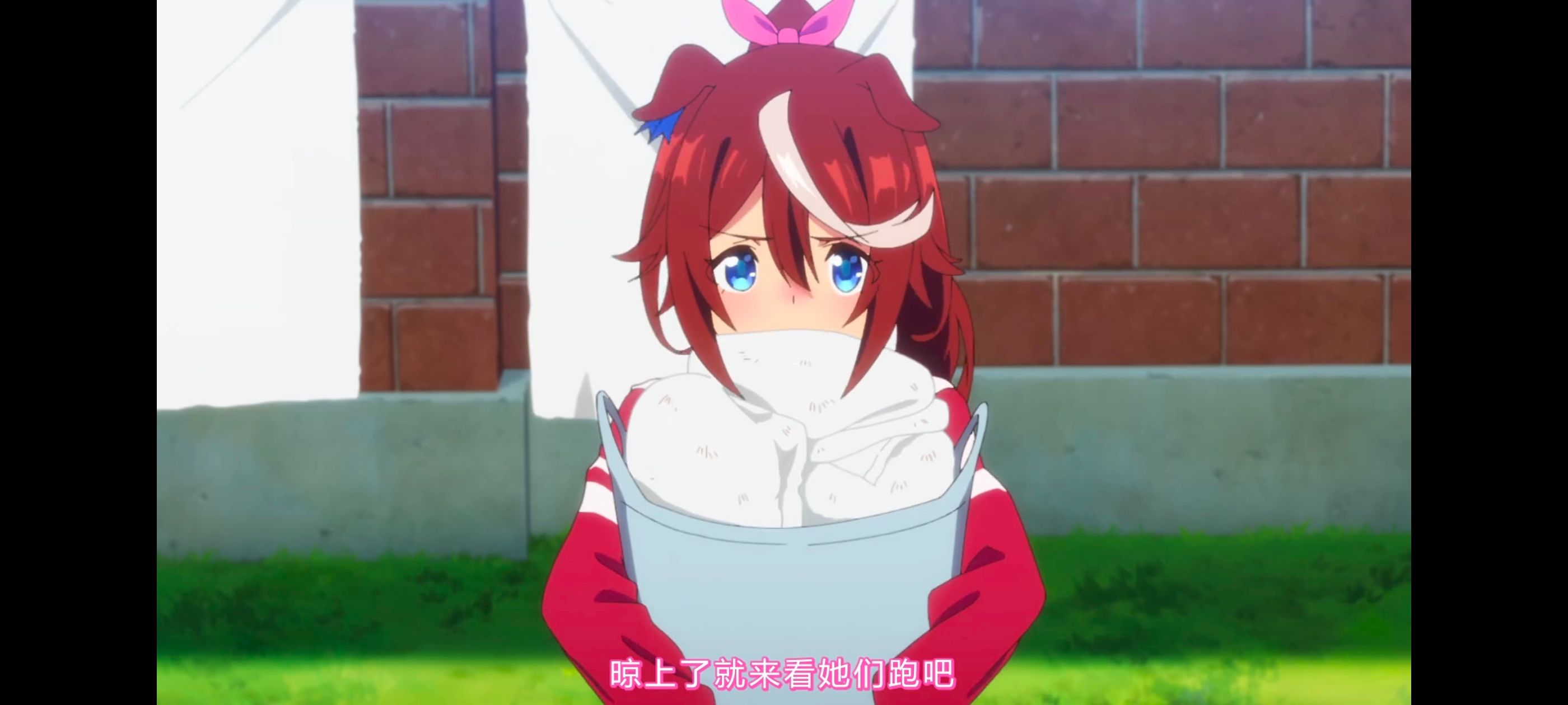 赛马娘,赛马娘PrettyDreby,动画,动漫,番剧,ACG