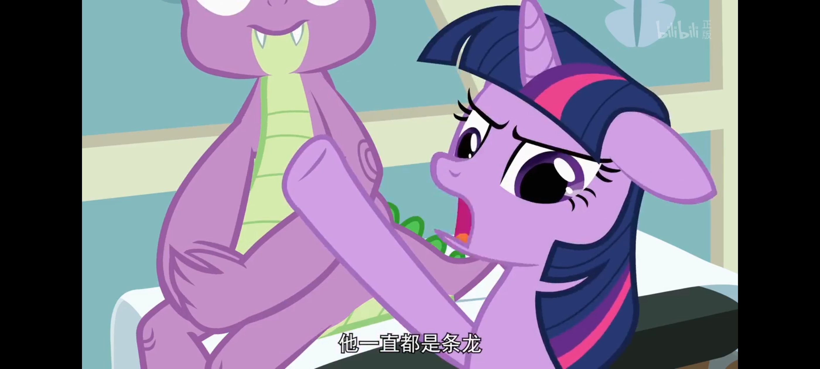 小马宝莉,彩虹小马,我的小马驹,动画,动漫,番剧,二次元,ACG