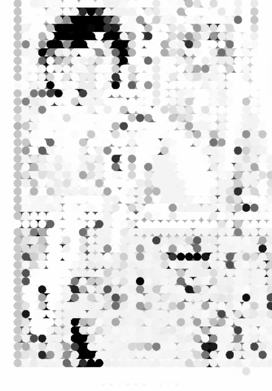 /static/6c11bb3a1f813dea8c3bc546b7e47e2551e4e08cda065683977a822d339509b7.jpg