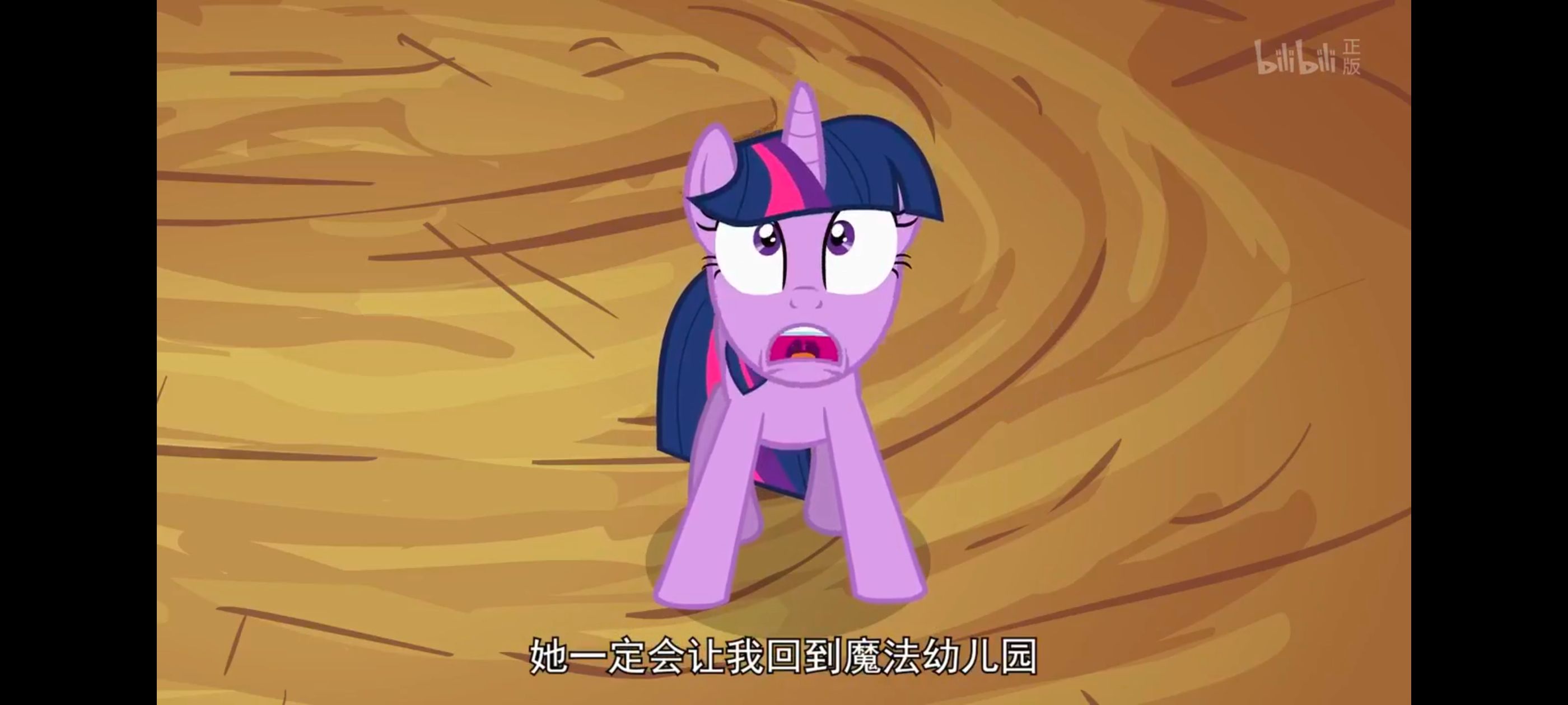 小马宝莉,小马宝莉友谊魔法,彩虹小马,我的小马驹,动画,动漫,番剧,ACG