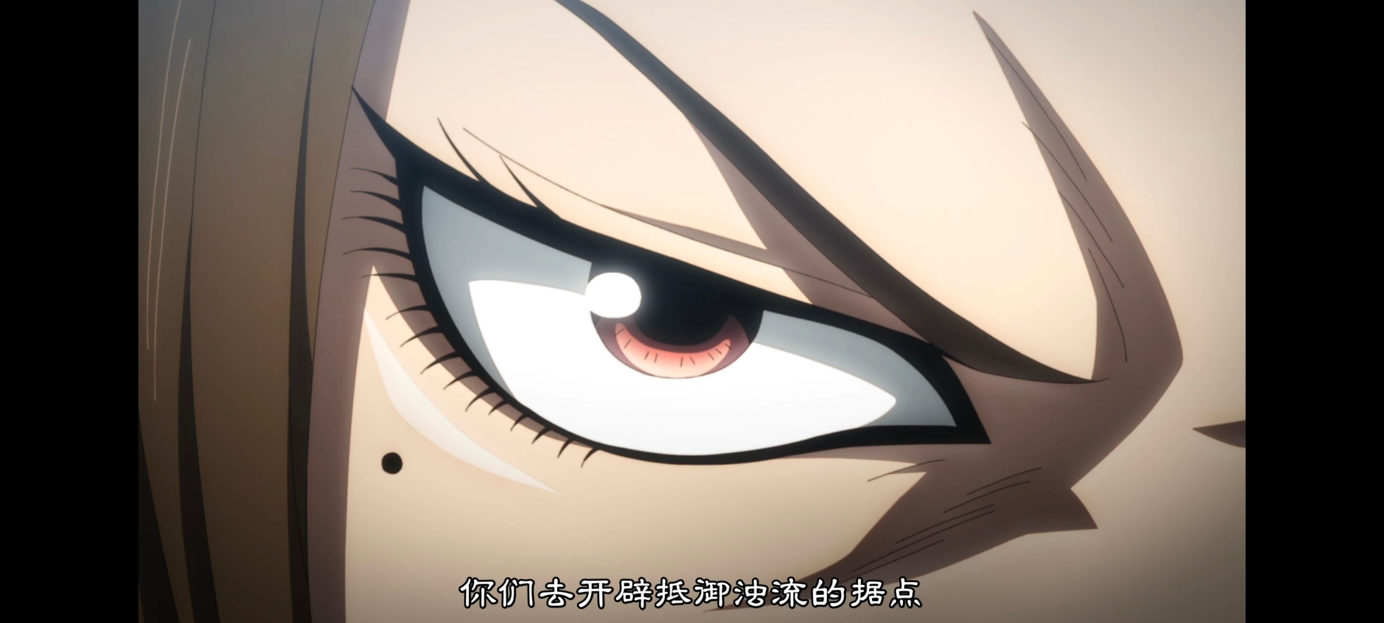 王者天下,动画,动漫,番剧,ACG