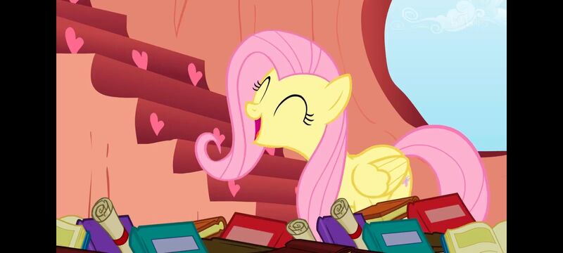 小马宝莉,小马宝莉友谊魔法,彩虹小马,我的小马驹,动画,动漫,番剧,ACG