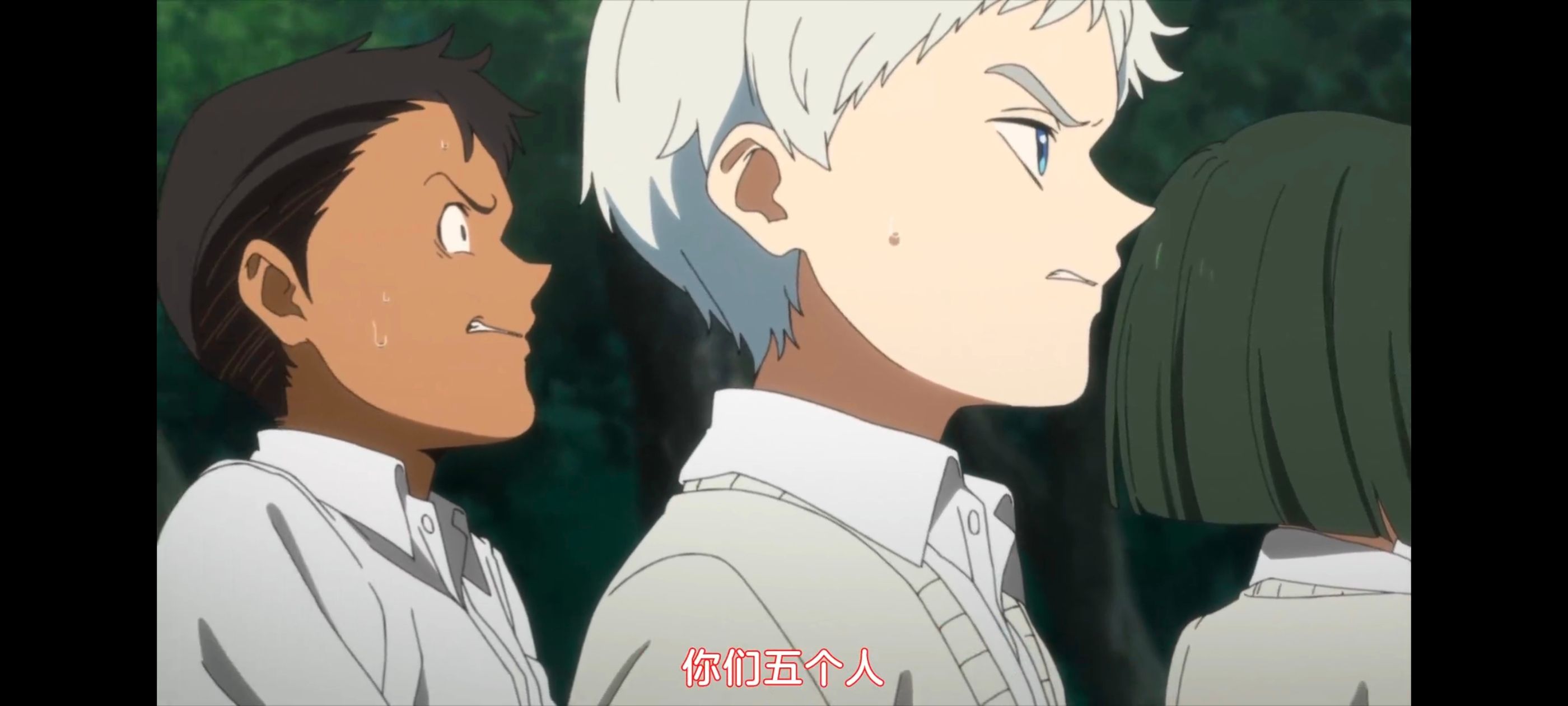 约定的梦幻岛,动画,动漫,番剧,ACG