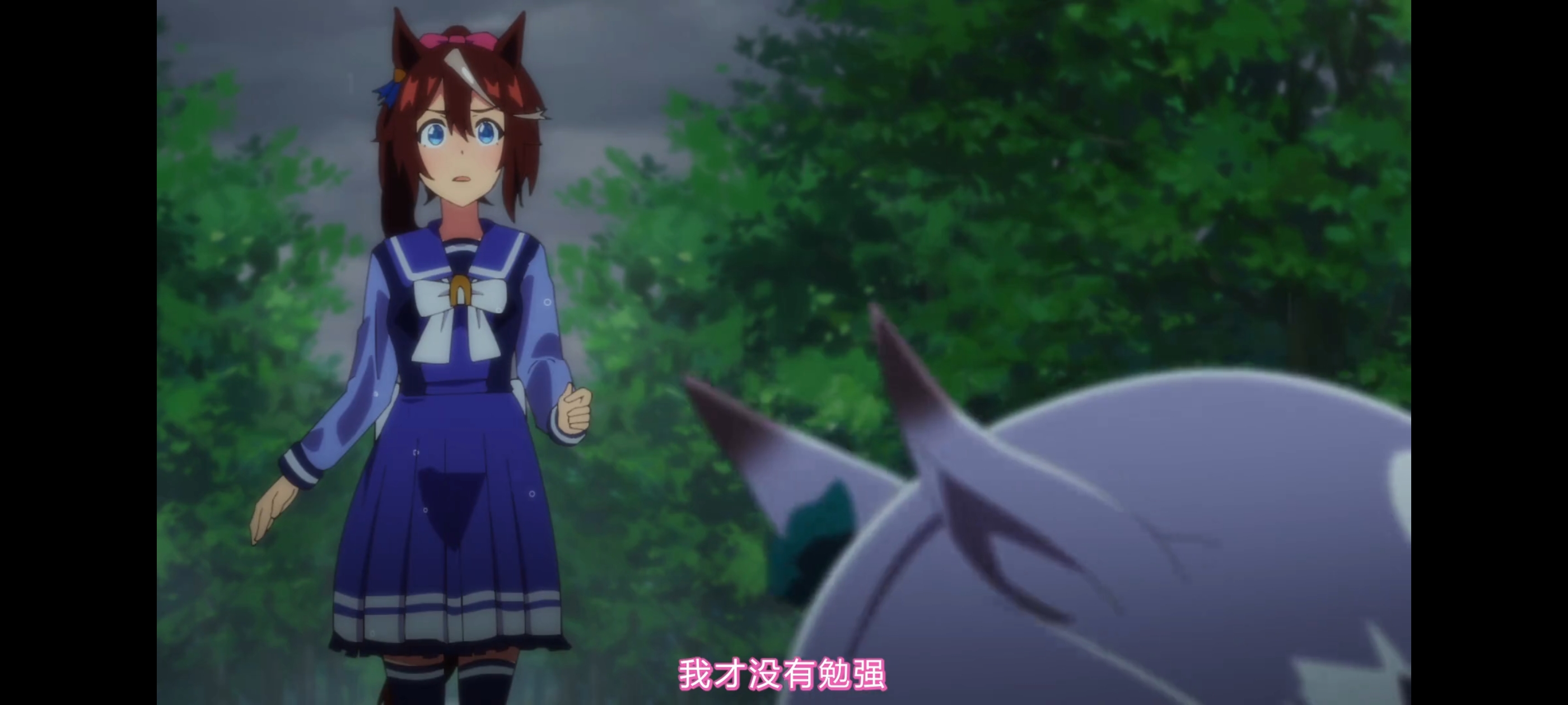 赛马娘,赛马娘第二季,赛马娘PrettyDerby,动画,动漫,番剧,二次元,ACG