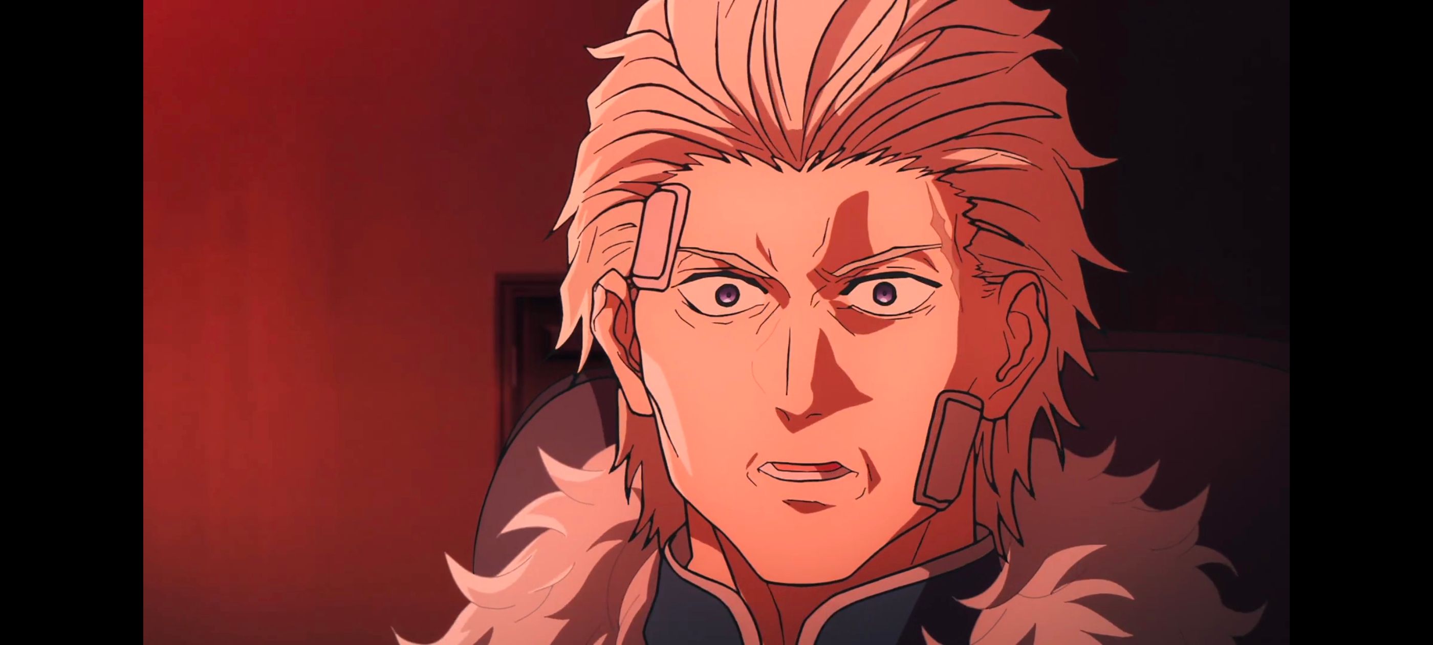 命运奇异赝品,FatestrangeFake,动画,动漫,番剧,ACG