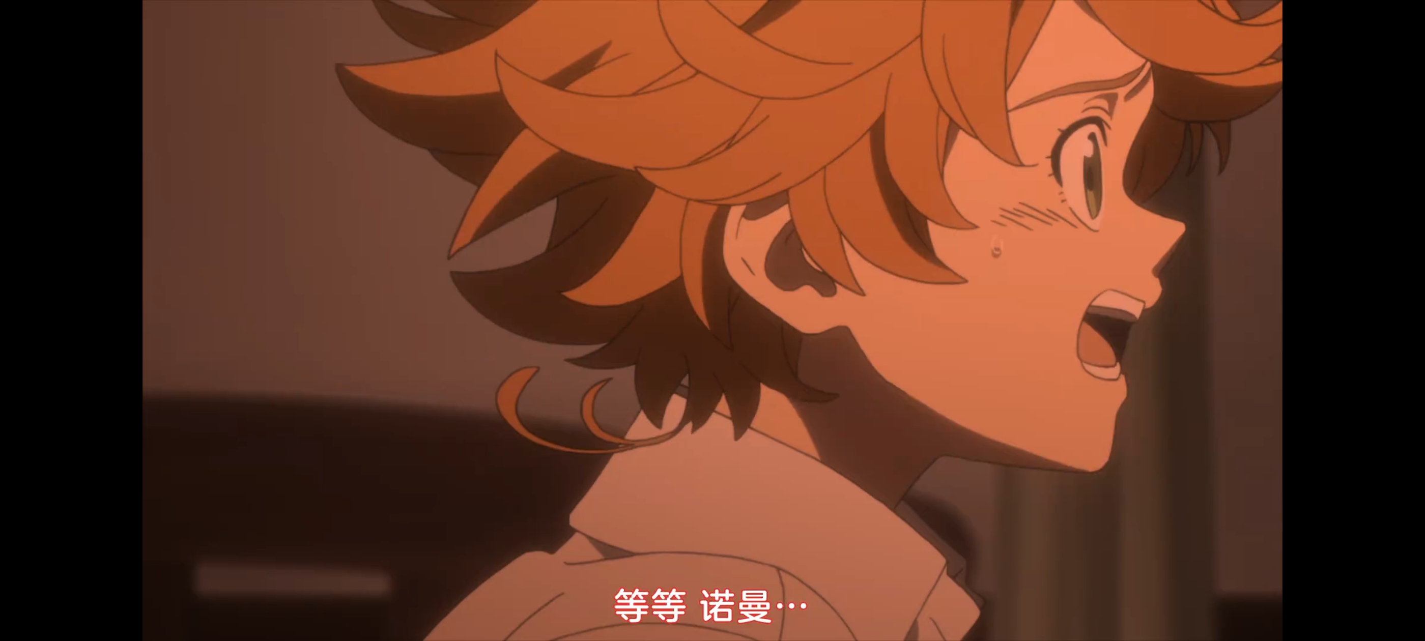 约定的梦幻岛,动画,动漫,番剧,二次元,ACG