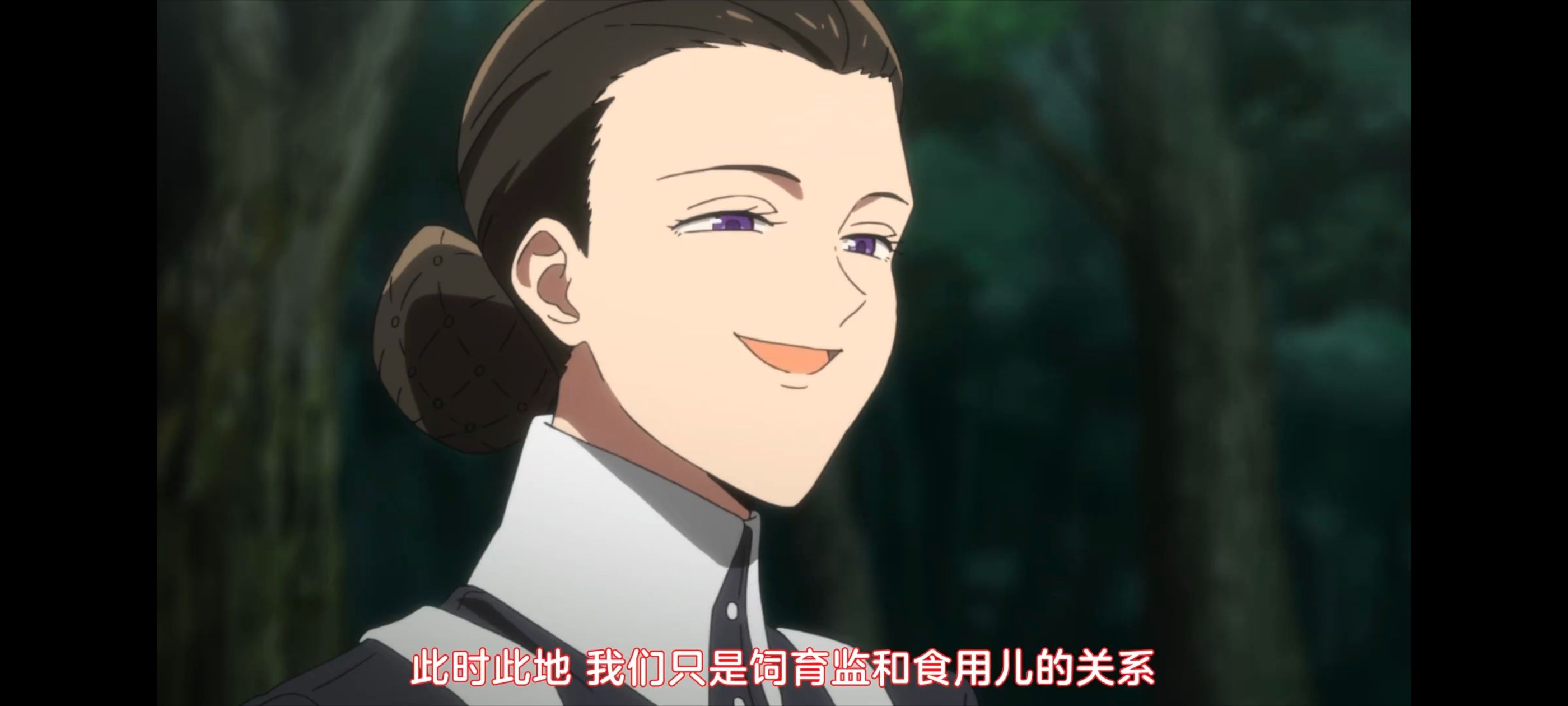 约定的梦幻岛,动画,动漫,番剧,二次元,ACG