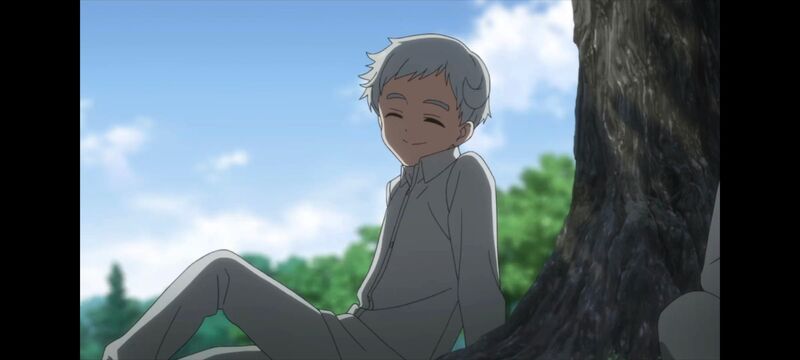 约定的梦幻岛,动画,动漫,番剧,ACG