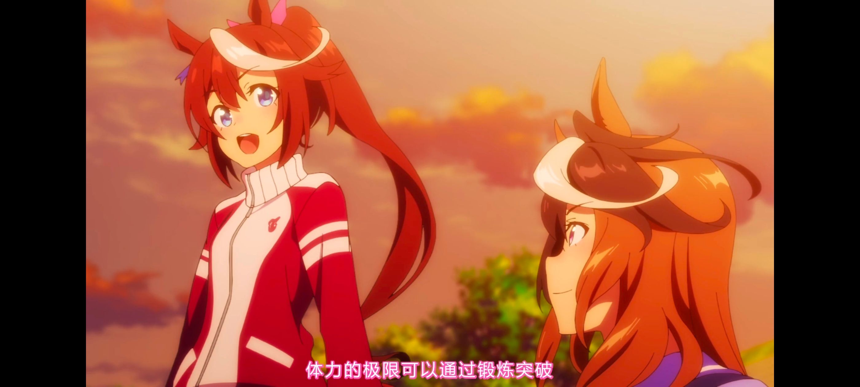 赛马娘,赛马娘PrettyDreby,赛马娘第二季,动画,动漫,番剧,ACG