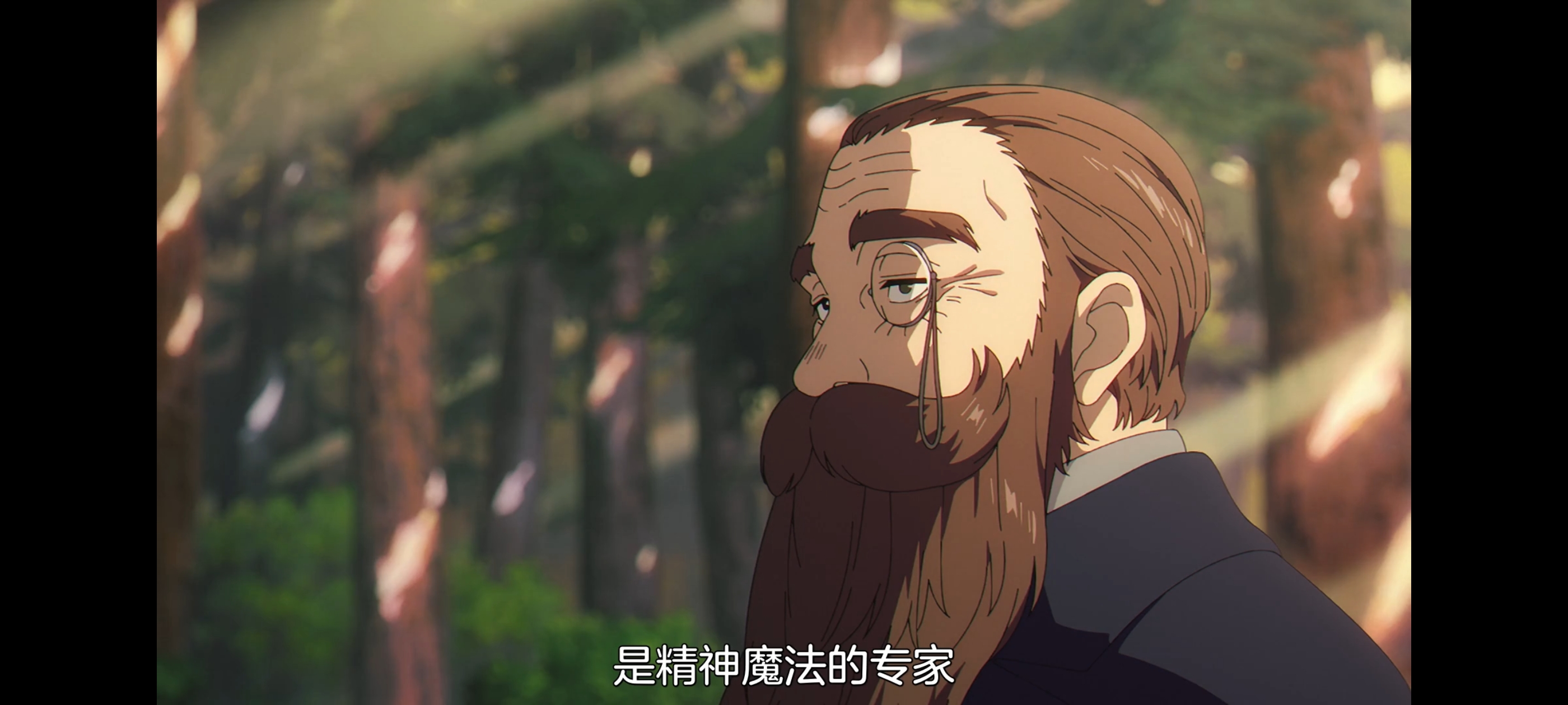 葬送的芙莉莲,动画,动漫,番剧,二次元,ACG