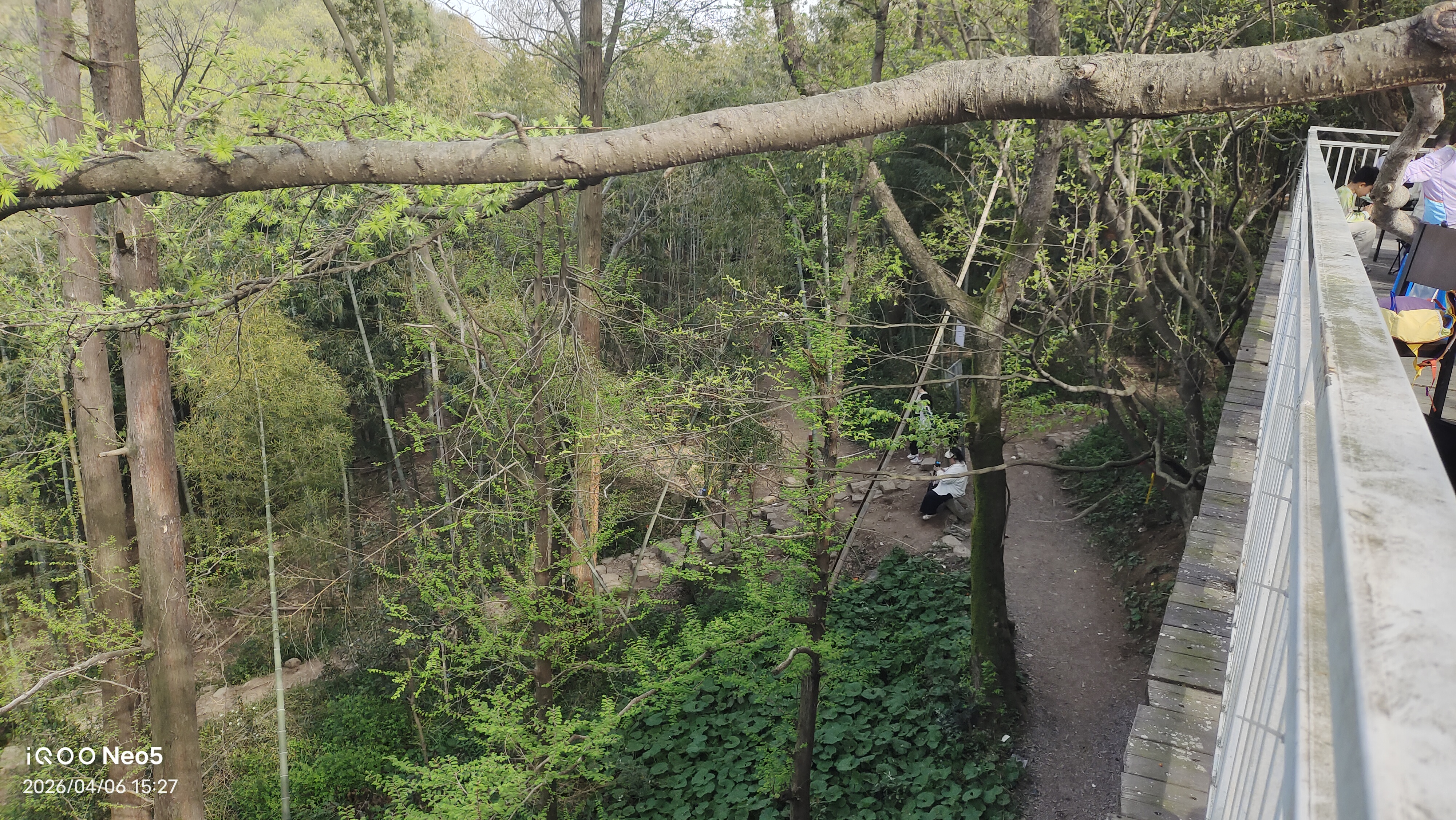 跑山,旅行,假期,生活,湖州