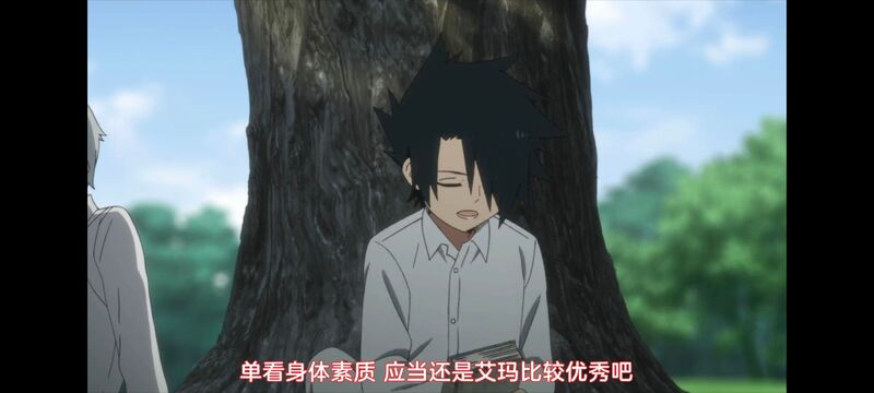 约定的梦幻岛,动画,动漫,番剧,ACG