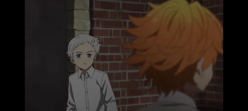 约定的梦幻岛,动画,动漫,番剧,ACG