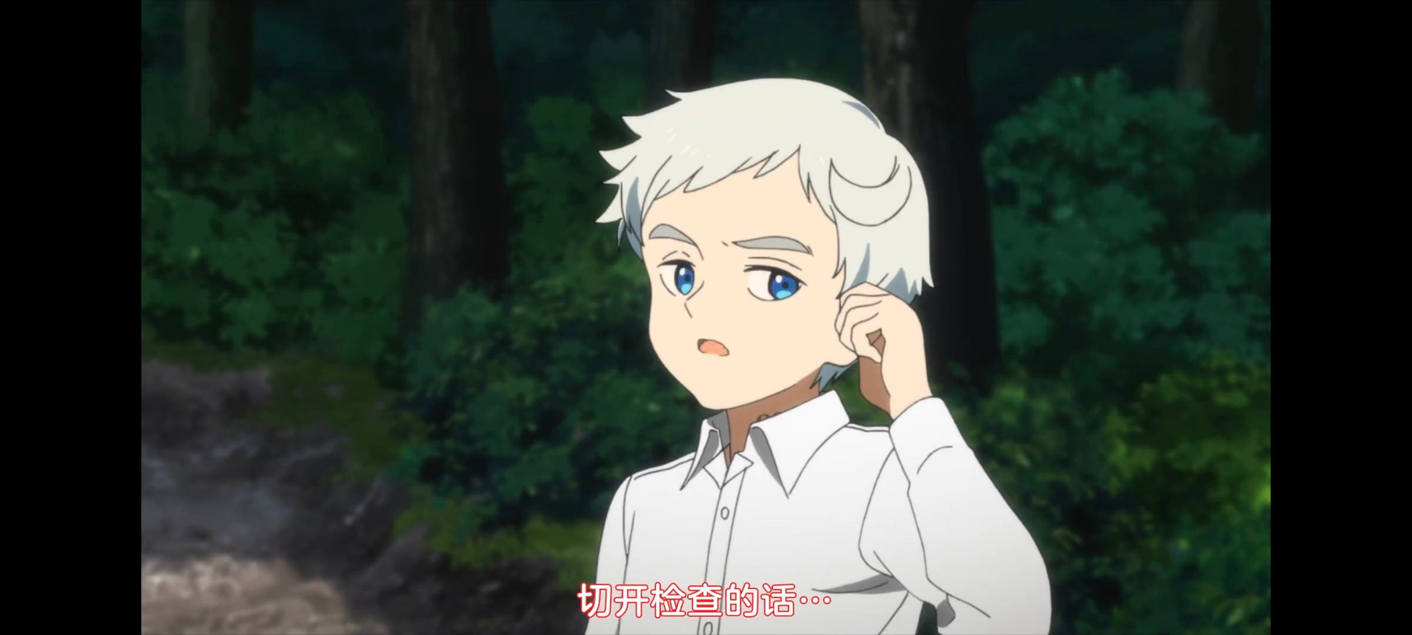 约定的梦幻岛,动画,动漫,番剧,ACG