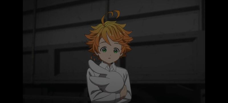 约定的梦幻岛,动画,动漫,番剧,ACG