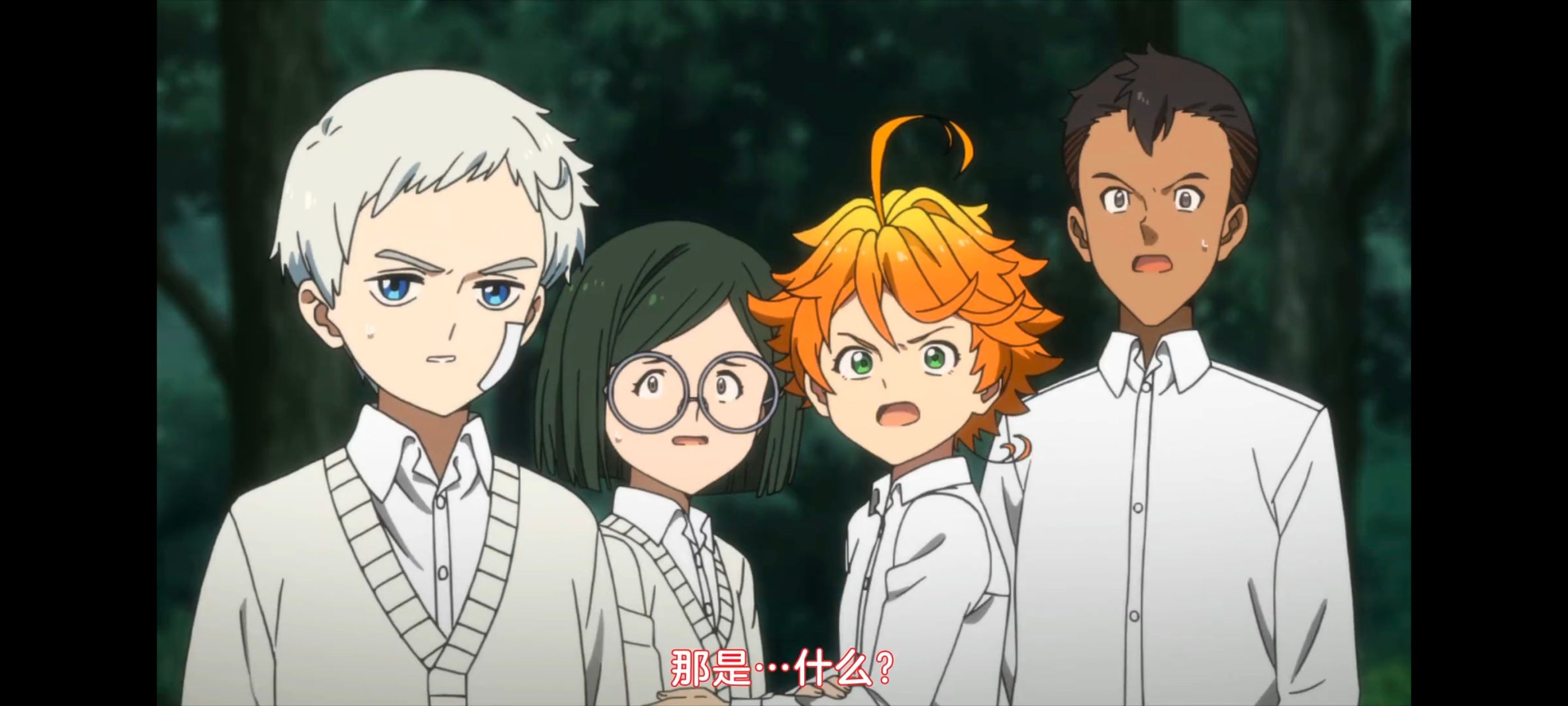 约定的梦幻岛,动画,动漫,番剧,二次元,ACG