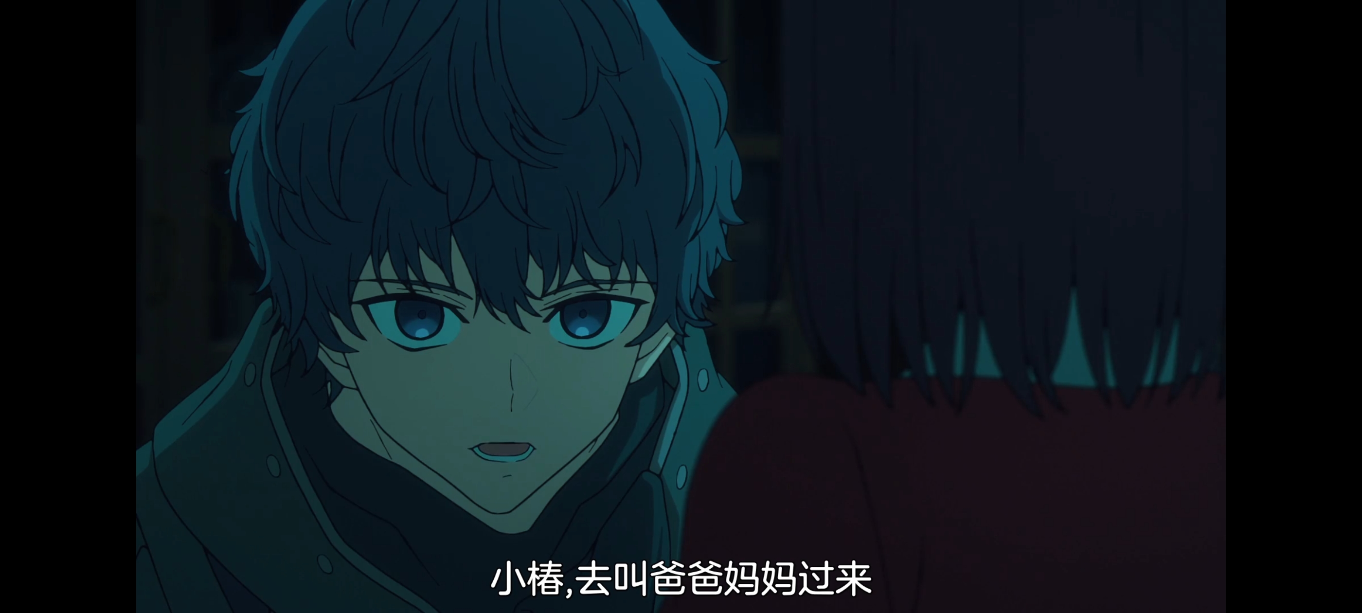 FATE,命运奇异赝品,FatestrangeFake,动画,动漫,番剧,二次元,ACG