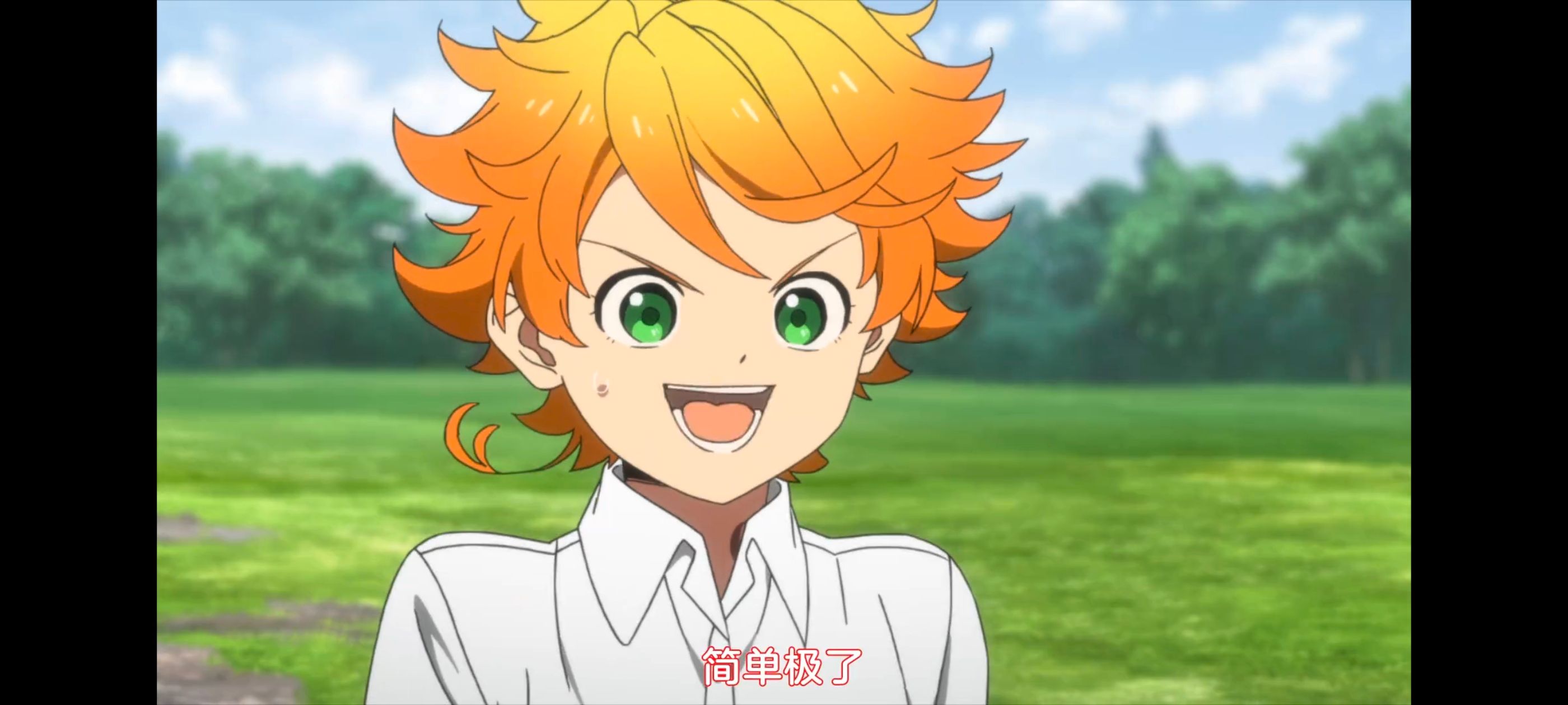 约定的梦幻岛,动画,动漫,番剧,ACG