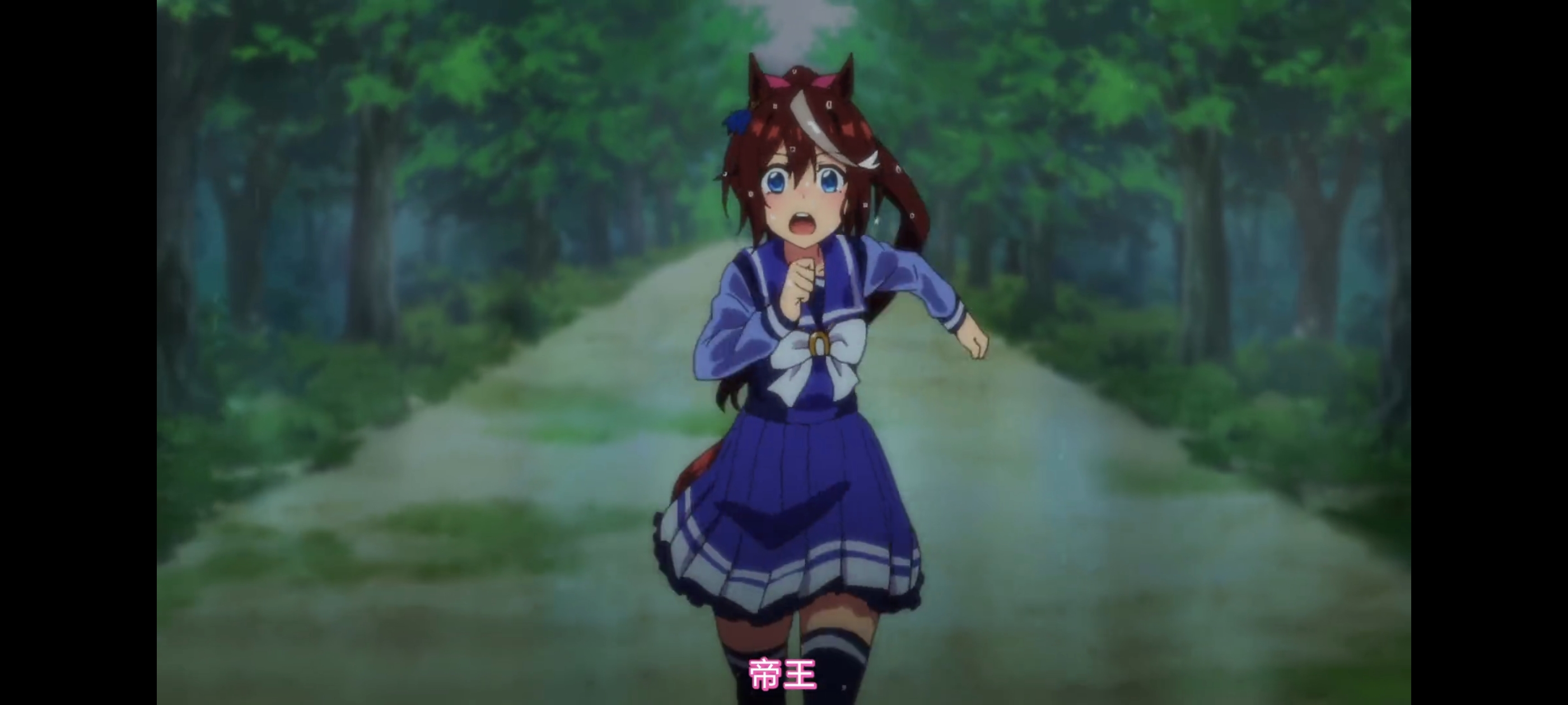 赛马娘,赛马娘第二季,赛马娘PrettyDerby,动画,动漫,番剧,二次元,ACG