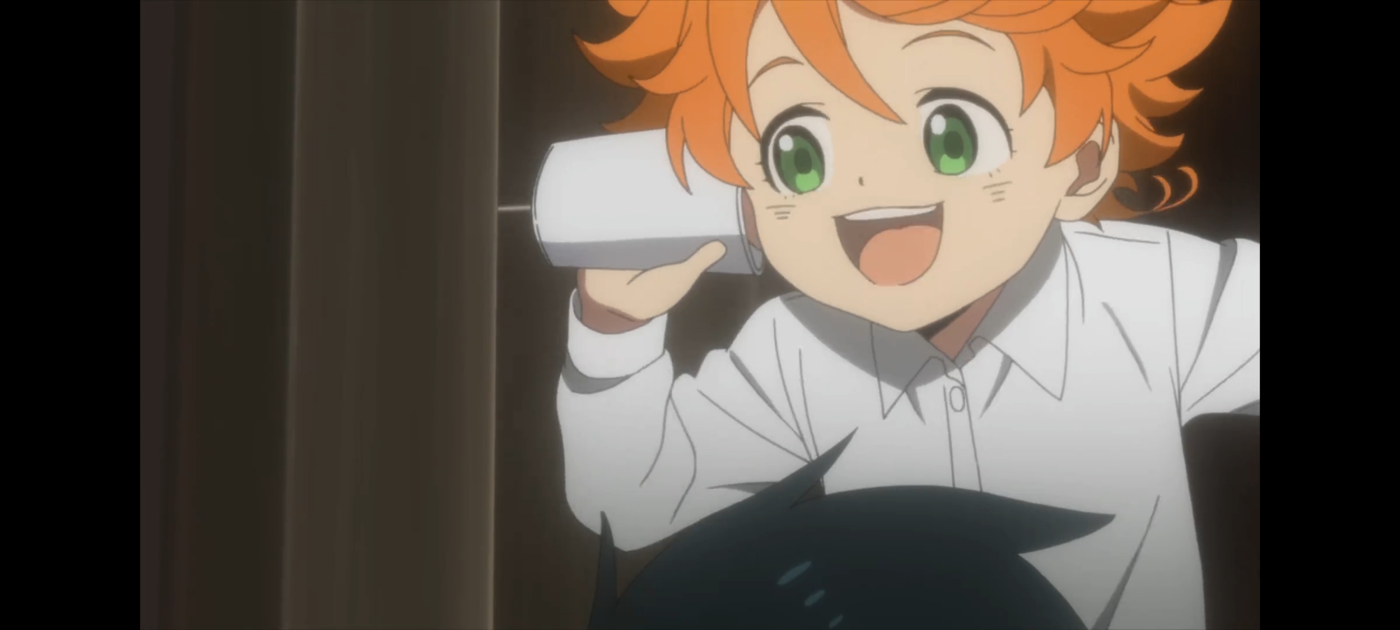 约定的梦幻岛,动画,动漫,番剧,二次元,ACG