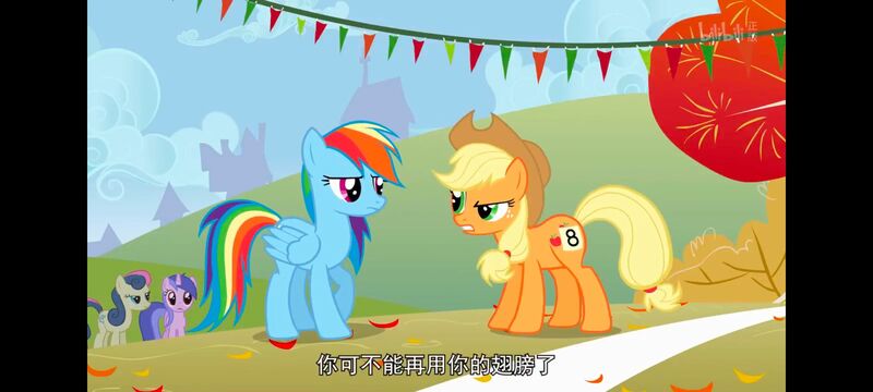 小马宝莉,小马宝莉友谊魔法,彩虹小马,我的小马驹,动画,动漫,番剧,ACG