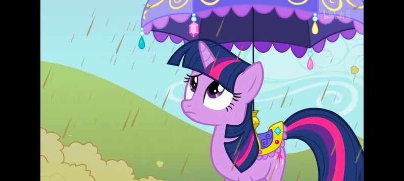 小马宝莉,小马宝莉友谊魔法,彩虹小马,我的小马驹,动画,动漫,番剧,ACG