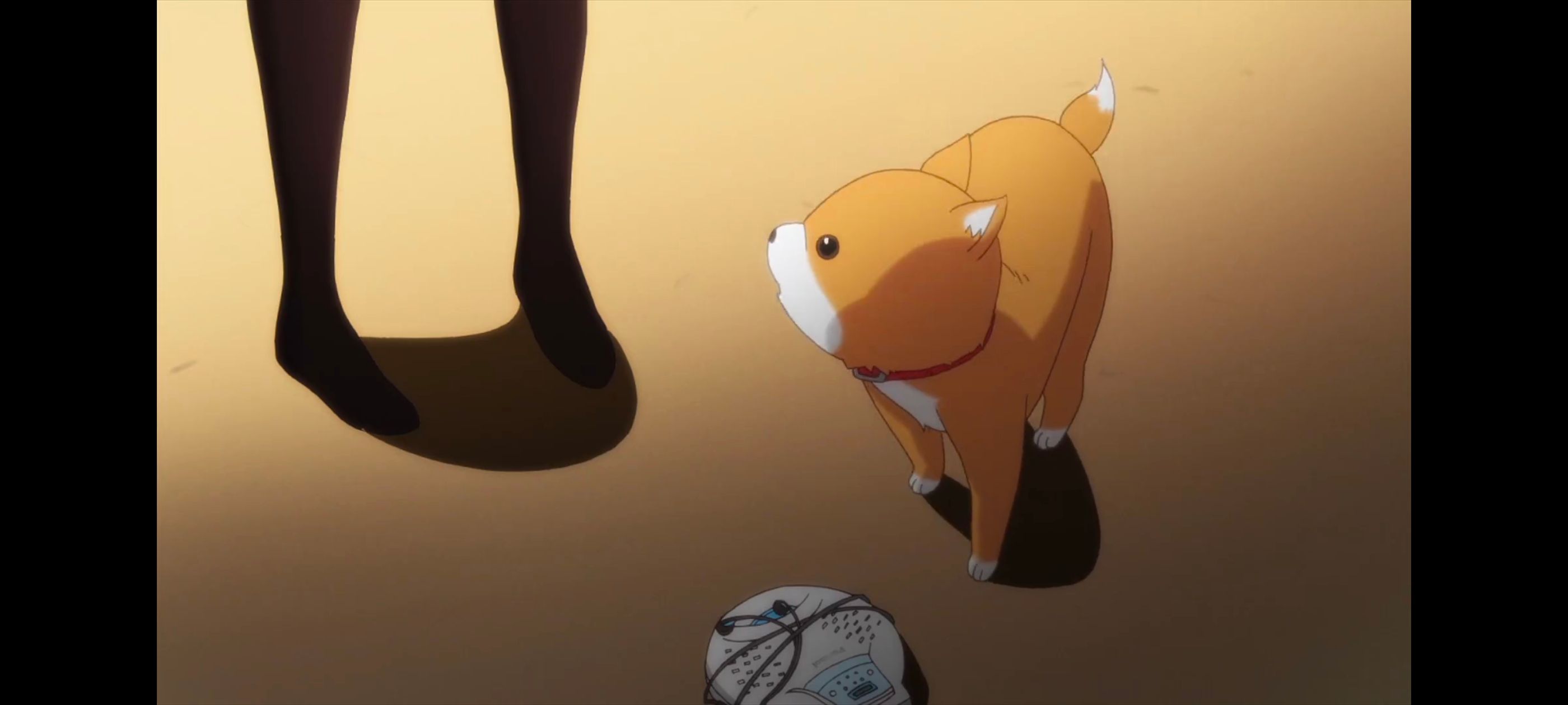 /static/6fdfe353959bc79340083c813c1cfc52a1439f7655e0b531171be6d08136979f.jpg