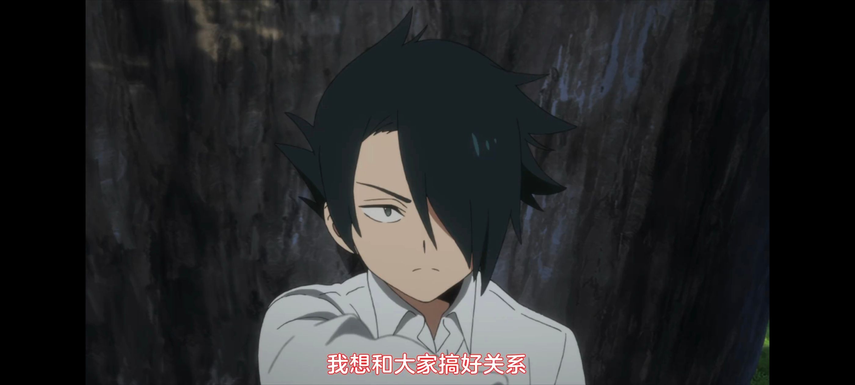 约定的梦幻岛,动画,动漫,番剧,ACG