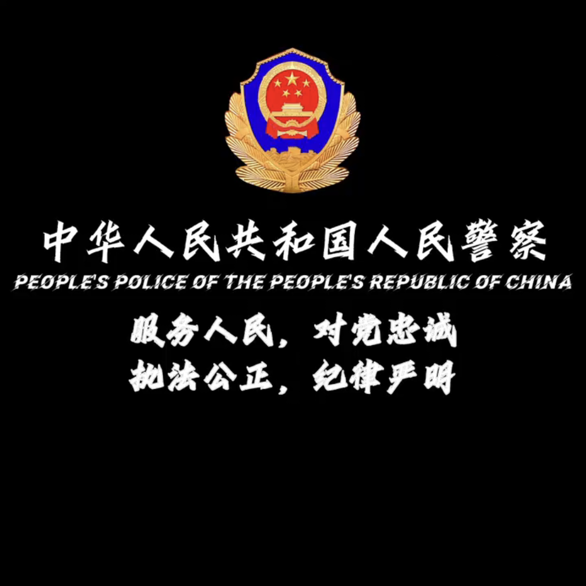 节日,庆祝,警察