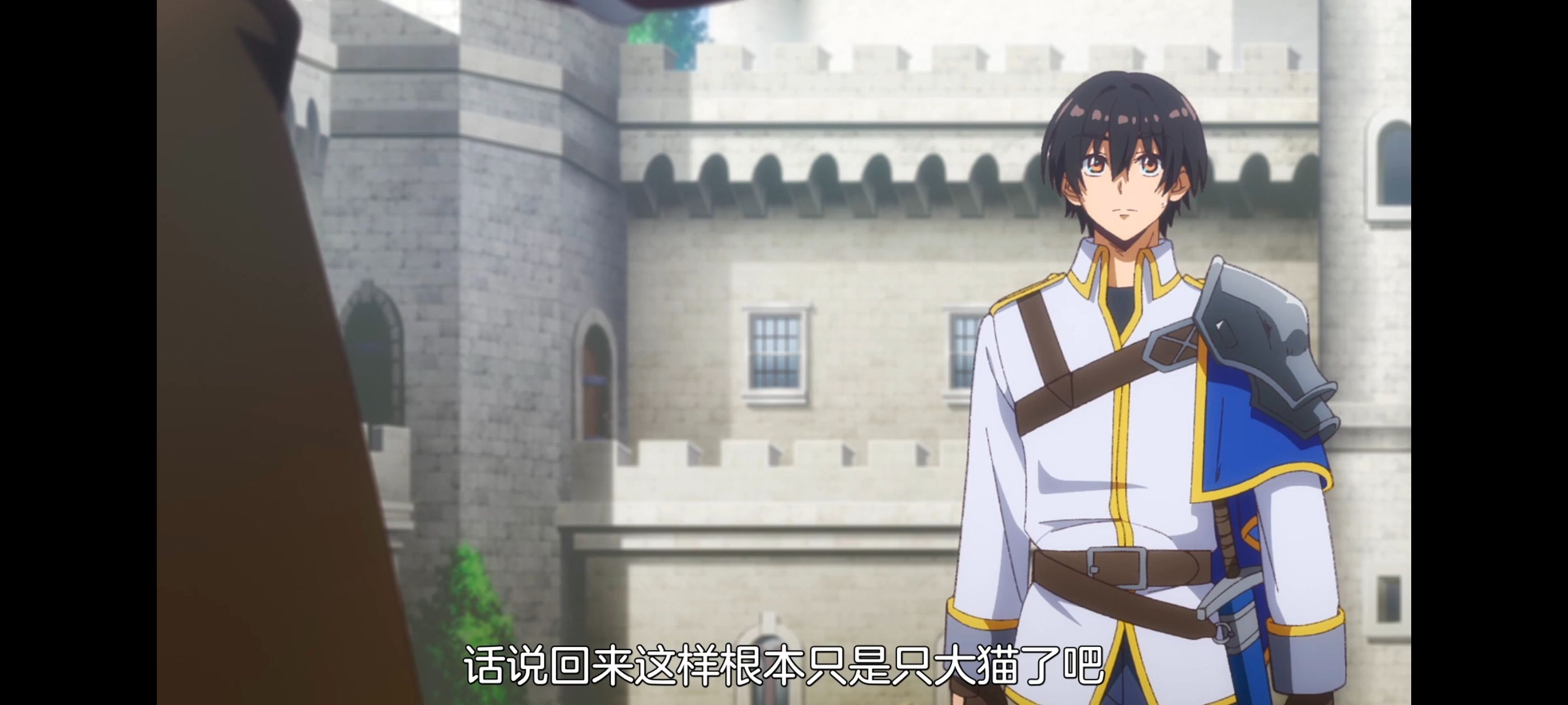 野生的最终BOSS出现了,野生的大魔王出现了,动画,动漫,番剧,ACG