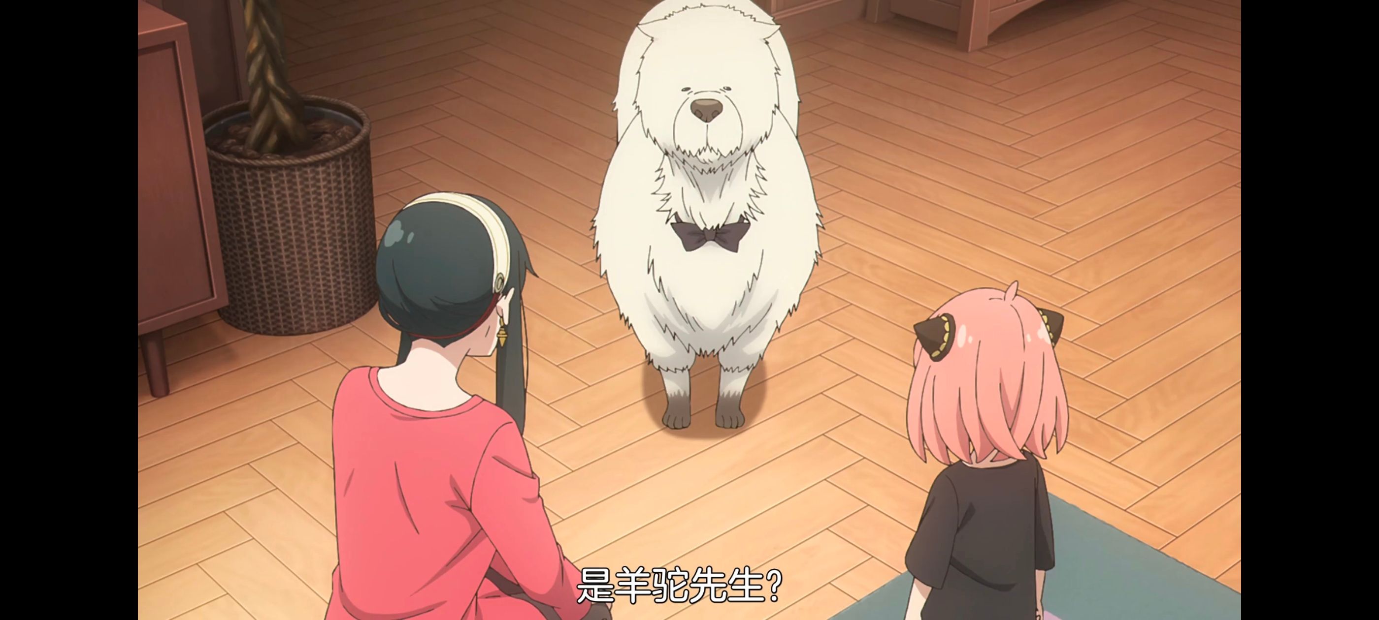 间谍过家家,SPYFAMILY,动画,动漫,番剧,ACG