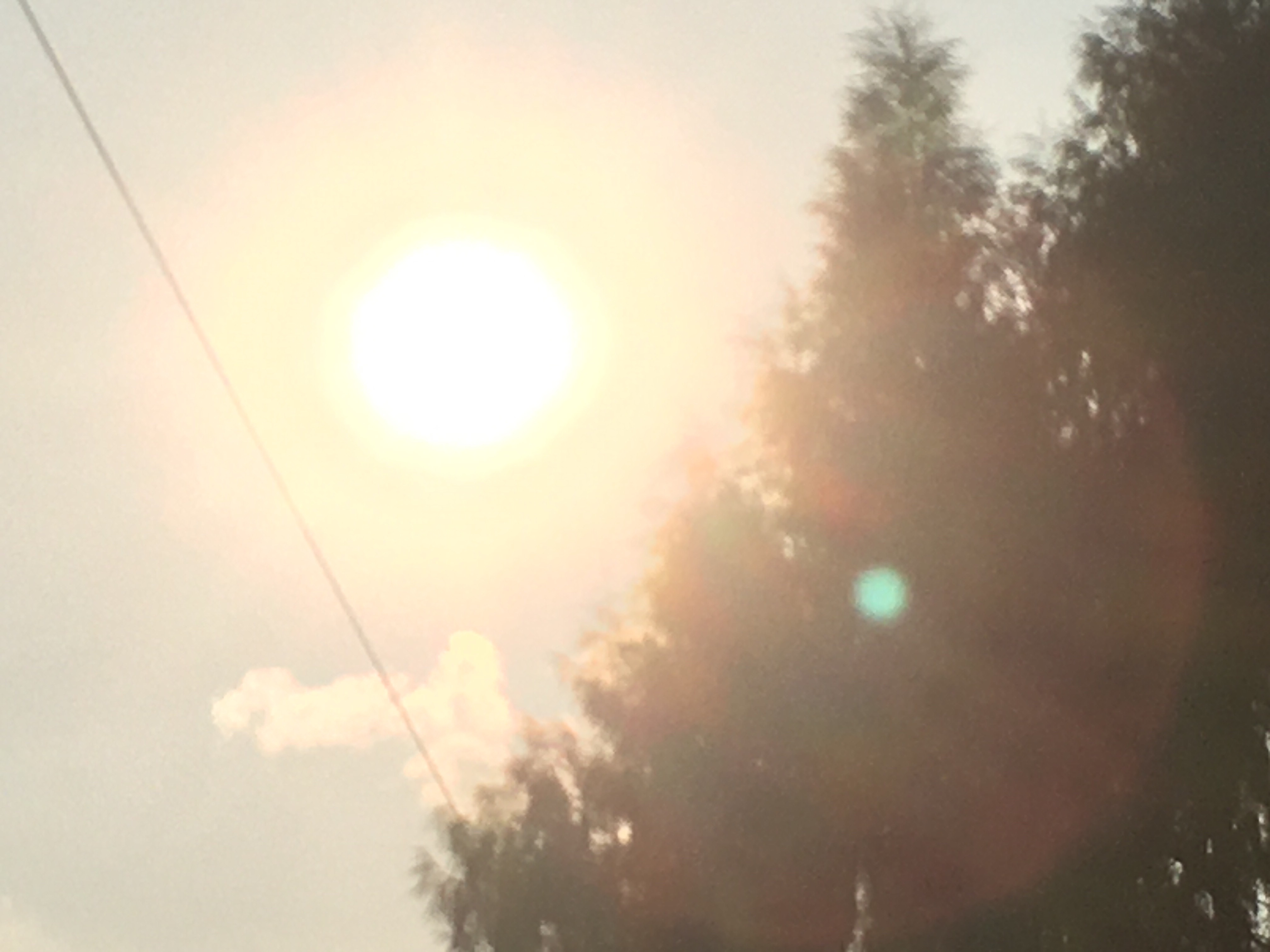 /static/70a3bca782eb1252c4a2efb6cfc209100211c5e1fdaabb85f566296024bc7820.jpg