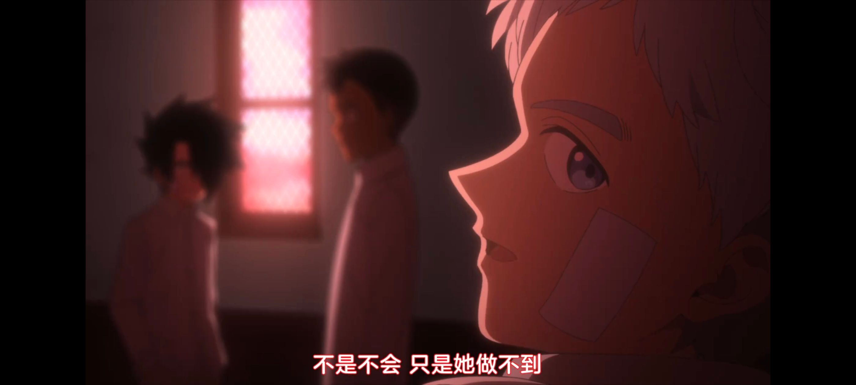 约定的梦幻岛,动画,动漫,番剧,二次元,ACG