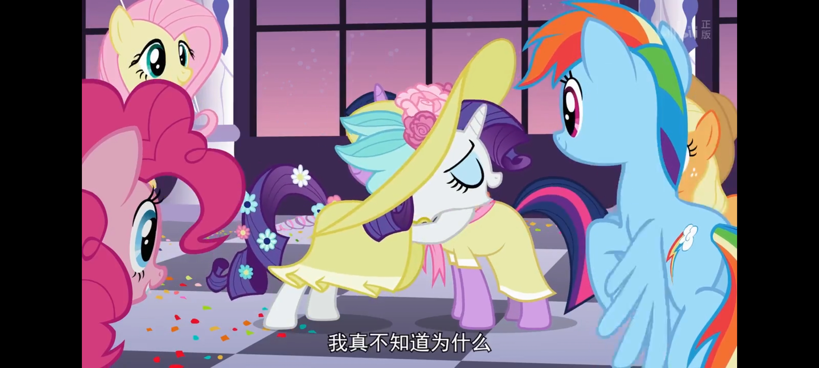 小马宝莉,彩虹小马,我的小马驹,动画,动漫,番剧,ACG